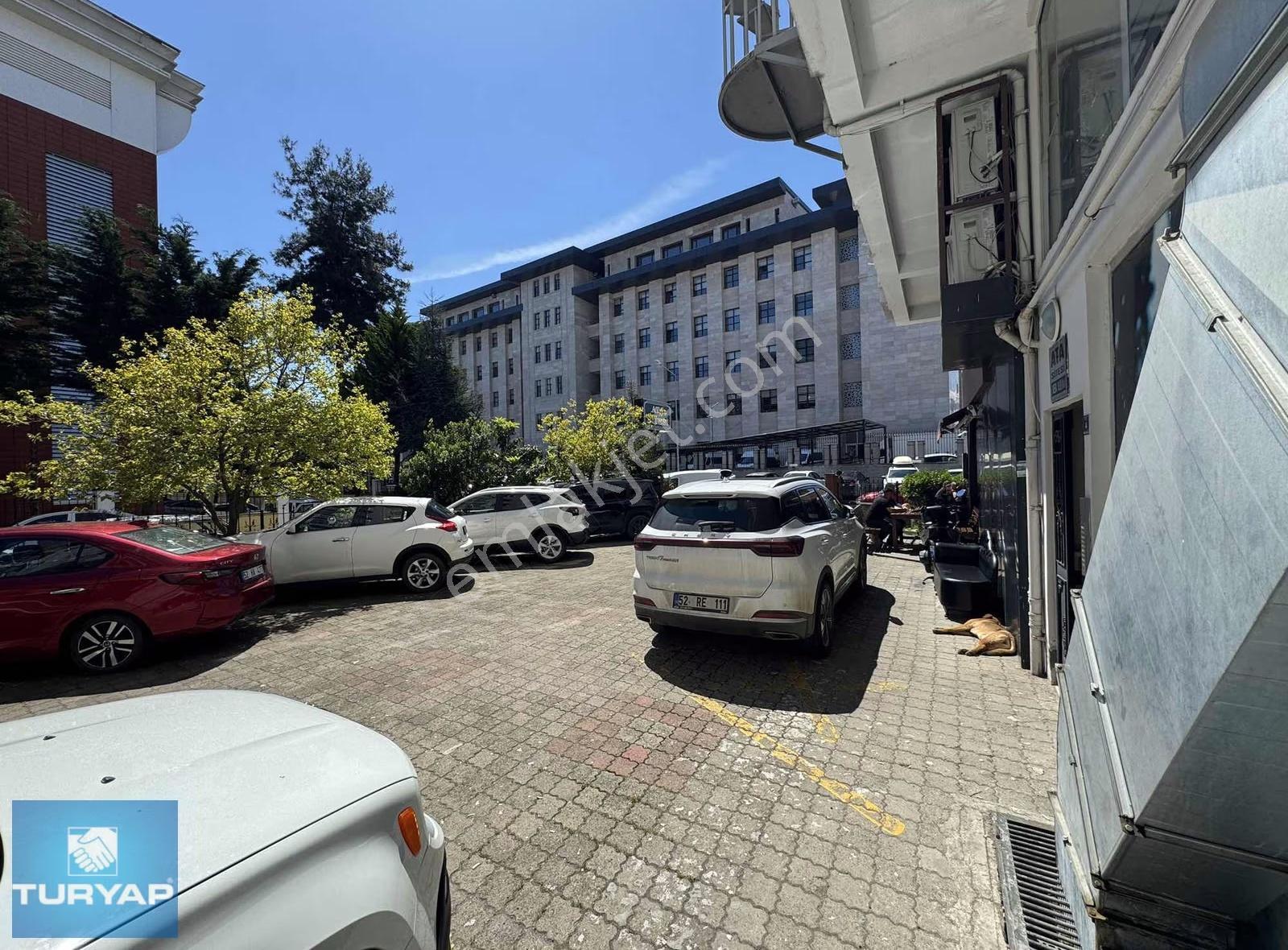 Ordu Akyazının En Prestijli Noktasında 215 M² Satılık İşyeri - Görsel 7