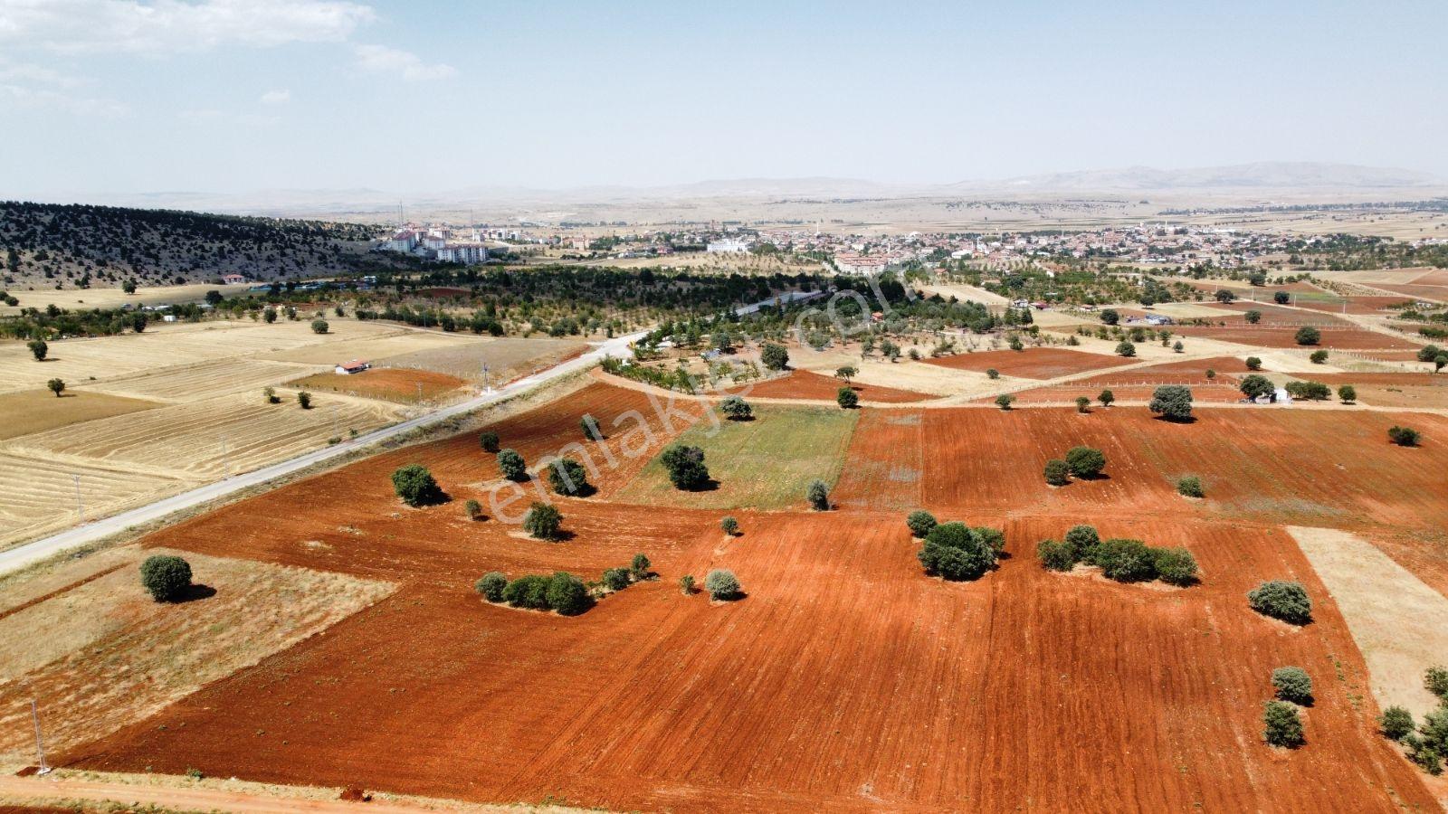 Akörende İmar Beklenen Bölgede 11 Dönüm Arazi - Görsel 6