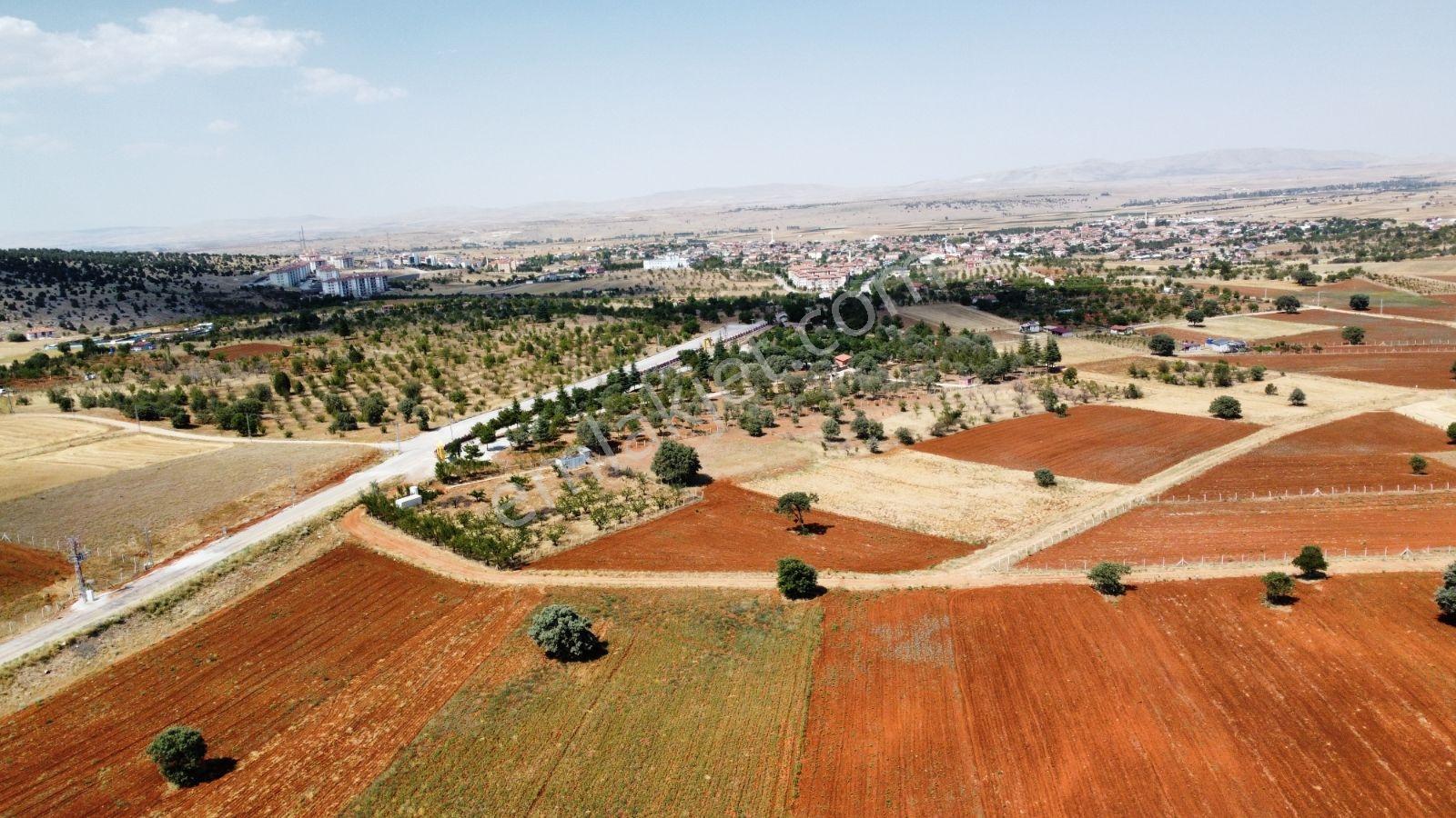 Akörende İmar Beklenen Bölgede 11 Dönüm Arazi - Görsel 5