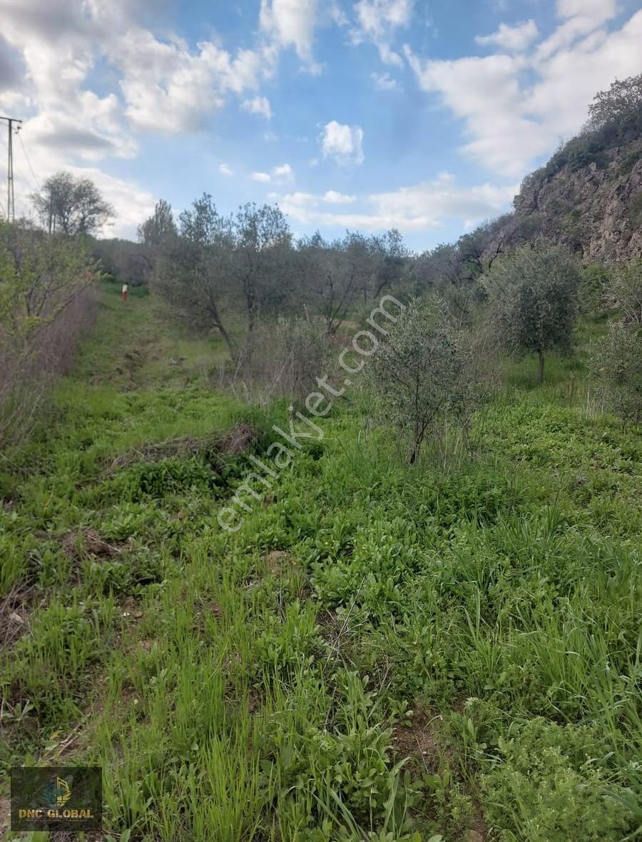 Soma Karacahisar Köy İçinde Eşyalı Ev Ve Zeytinlik - Görsel 9