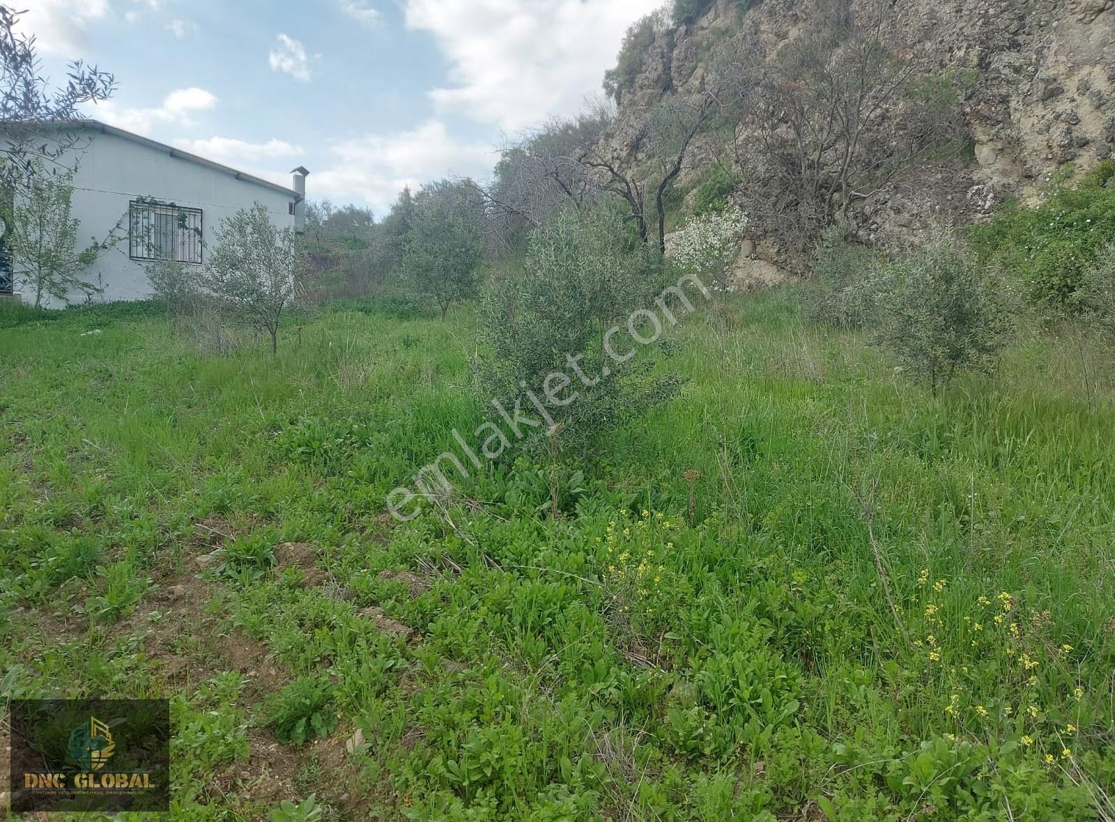 Soma Karacahisar Köy İçinde Eşyalı Ev Ve Zeytinlik - Görsel 6