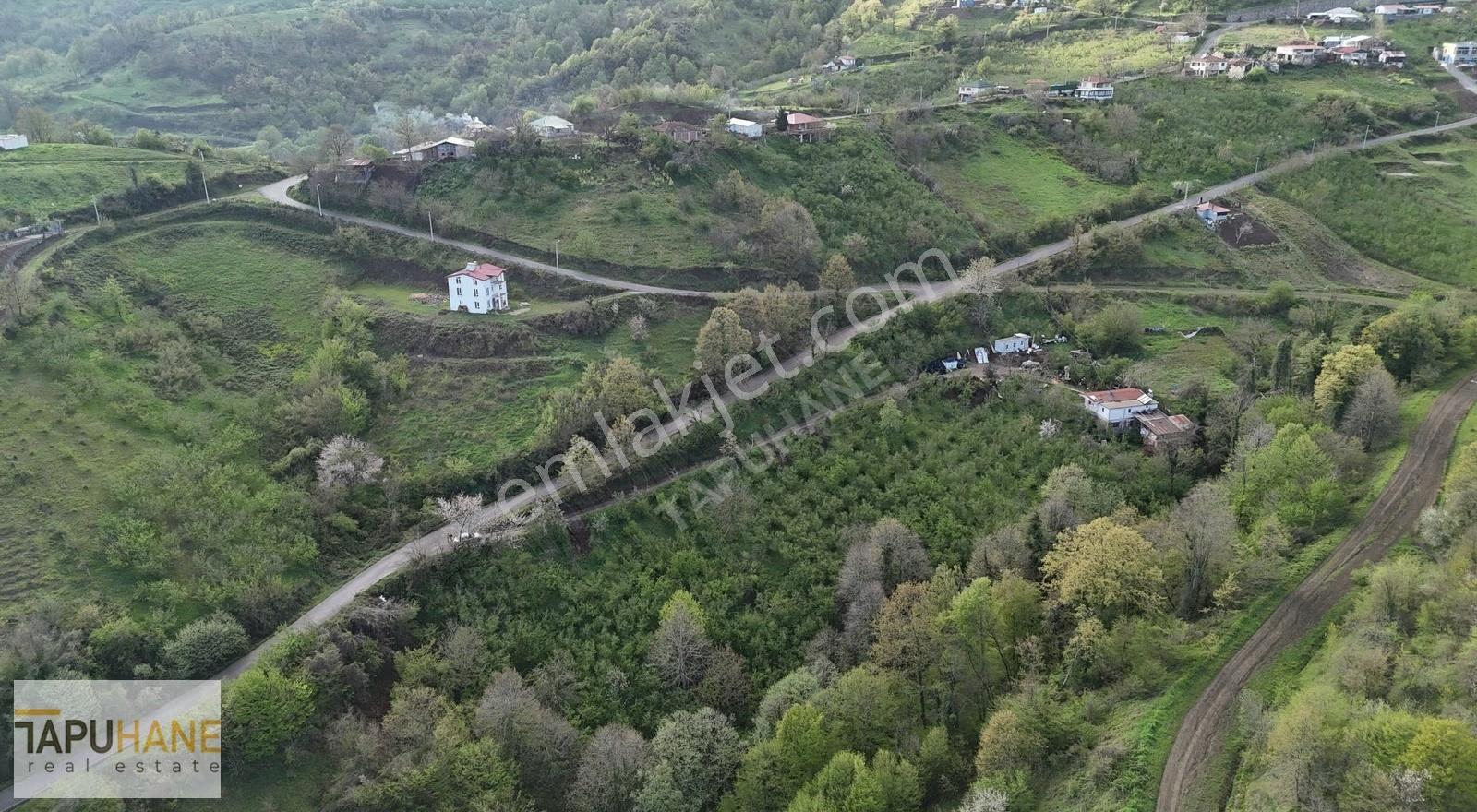 Tapuhane'den Muradiye'de 3 Dönüm İmarlı Satılık Arsa - Görsel 30