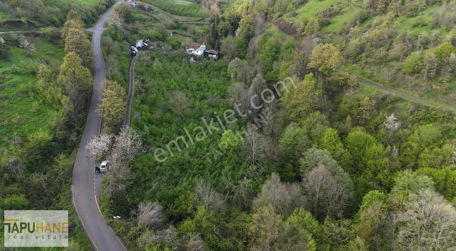 Tapuhane'den Muradiye'de 3 Dönüm İmarlı Satılık Arsa - Görsel 32