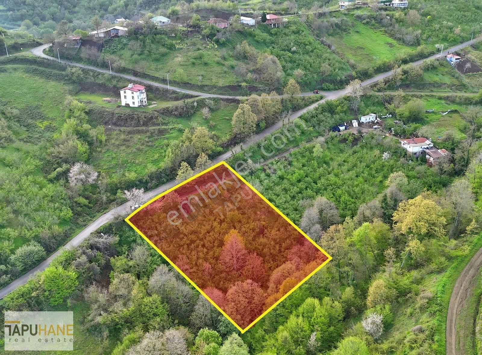 Tapuhane'den Muradiye'de 3 Dönüm İmarlı Satılık Arsa - Görsel 12