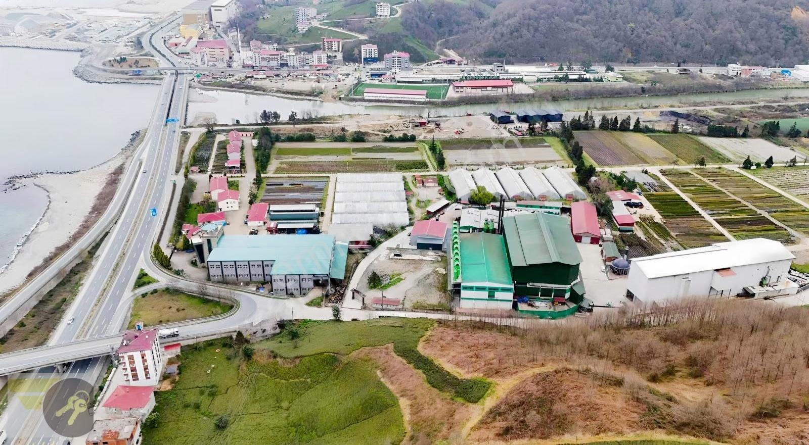 *of Gayrimenkul* Lojistiğe Uygun 20.000 M² Dev Yatırım Arazisi - Görsel 16
