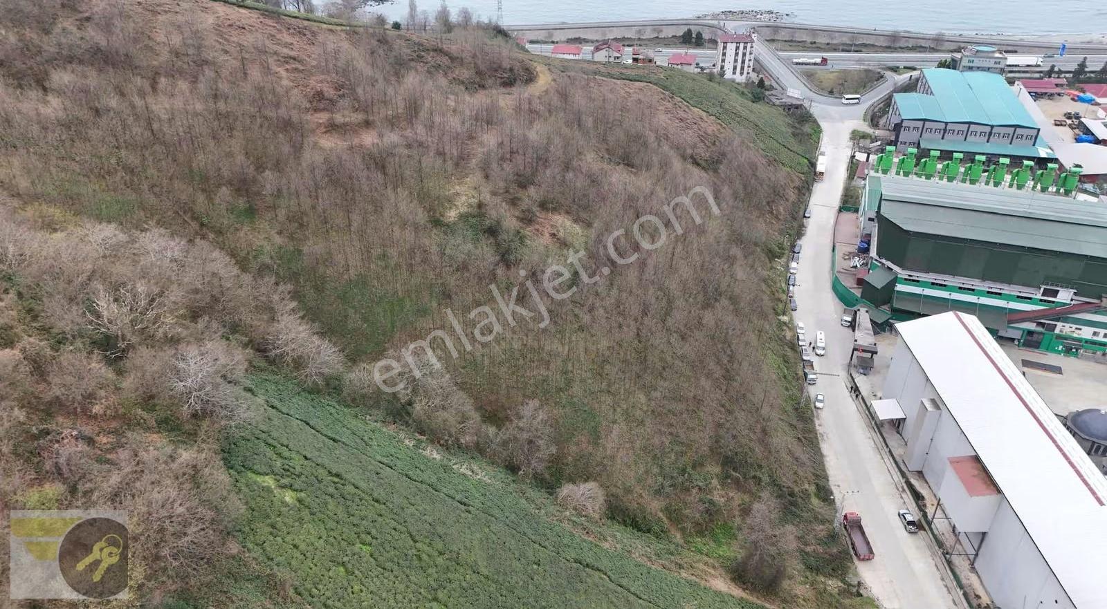 *of Gayrimenkul* Lojistiğe Uygun 20.000 M² Dev Yatırım Arazisi - Görsel 18