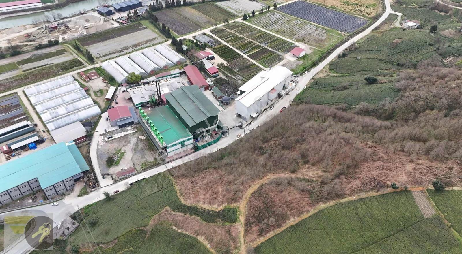 *of Gayrimenkul* Lojistiğe Uygun 20.000 M² Dev Yatırım Arazisi - Görsel 12