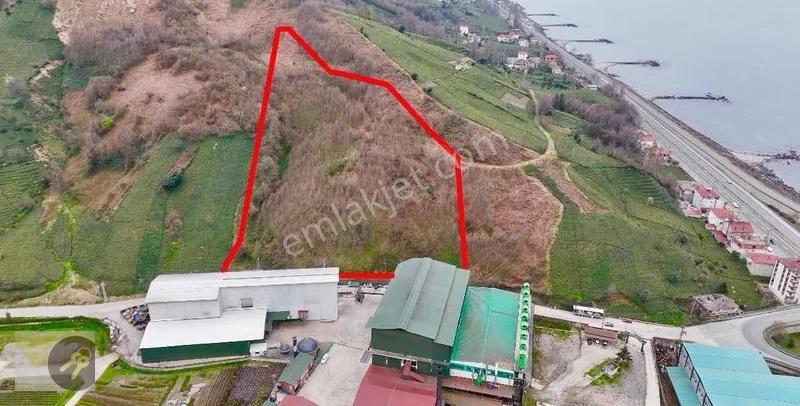 *of Gayrimenkul* Lojistiğe Uygun 20.000 M² Dev Yatırım Arazisi - Görsel 13