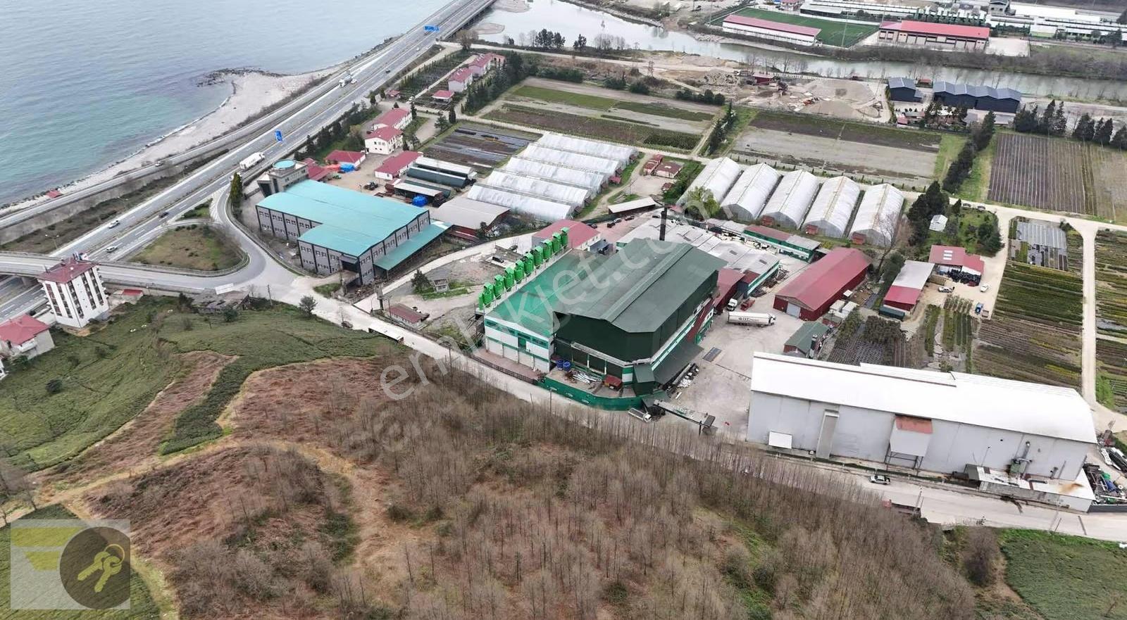 *of Gayrimenkul* Lojistiğe Uygun 20.000 M² Dev Yatırım Arazisi - Görsel 15