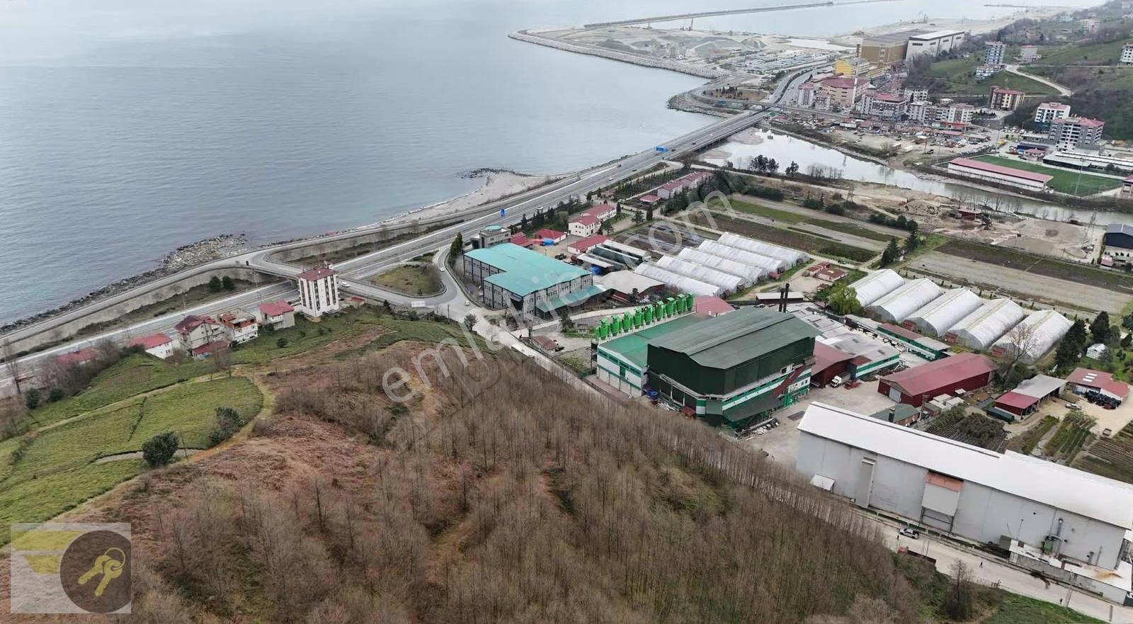 *of Gayrimenkul* Lojistiğe Uygun 20.000 M² Dev Yatırım Arazisi - Görsel 17