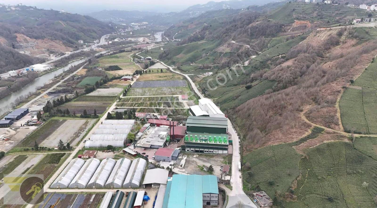 *of Gayrimenkul* Lojistiğe Uygun 20.000 M² Dev Yatırım Arazisi - Görsel 9