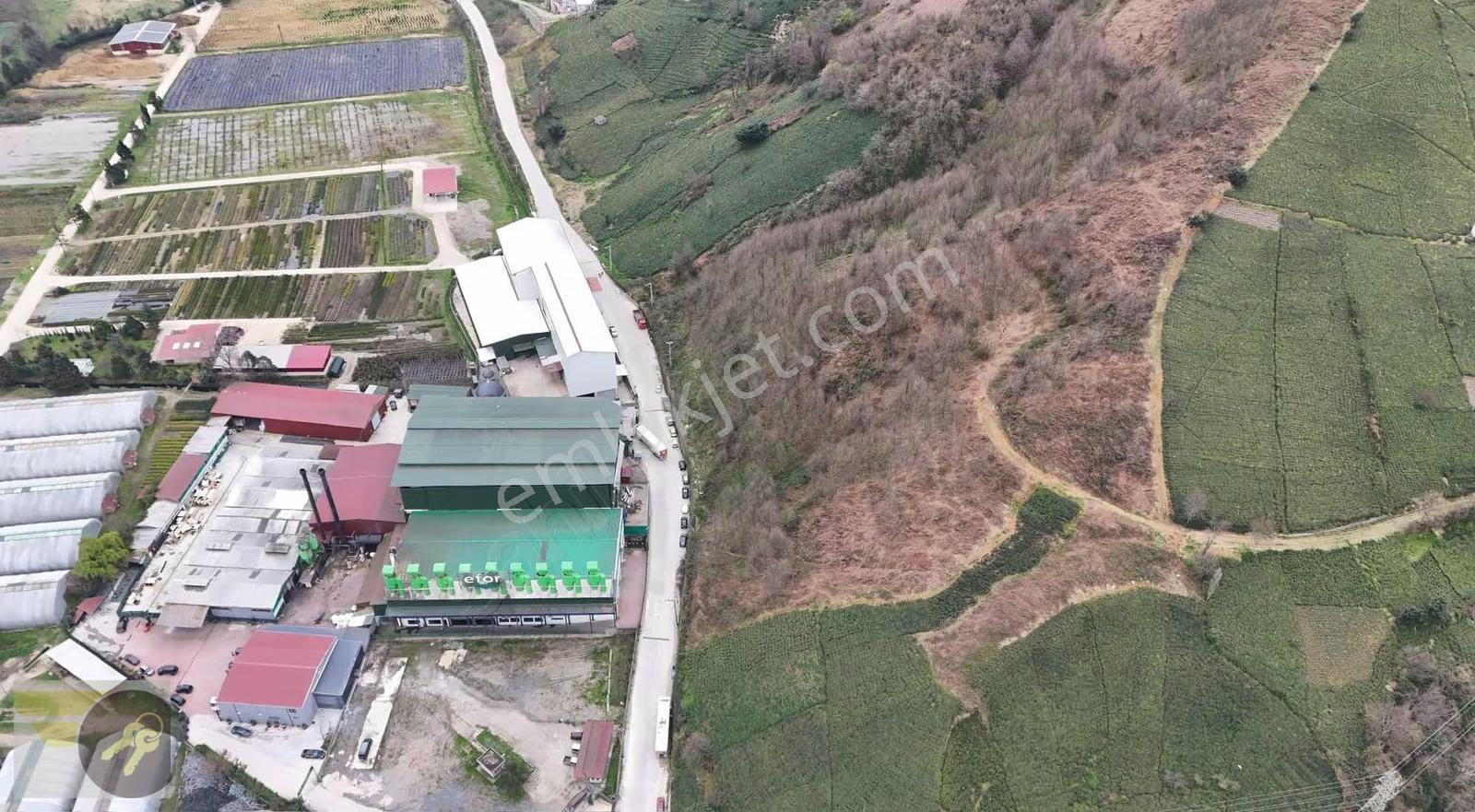 *of Gayrimenkul* Lojistiğe Uygun 20.000 M² Dev Yatırım Arazisi - Görsel 20