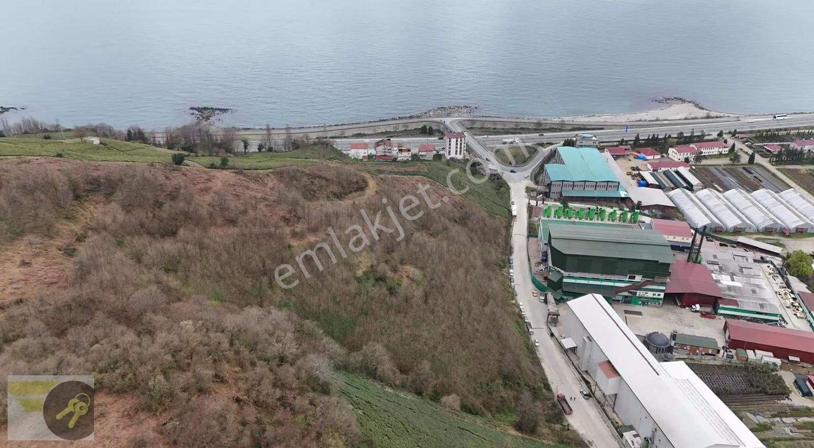 *of Gayrimenkul* Lojistiğe Uygun 20.000 M² Dev Yatırım Arazisi - Görsel 24