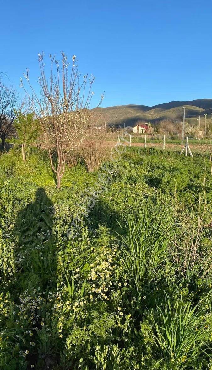 Yedigöze(germili)'de Satılık Kupon Evli Bahçe - Görsel 24