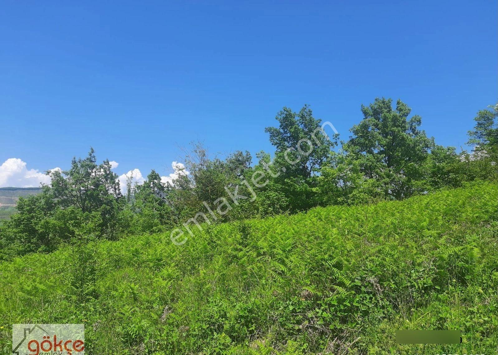 Akçat Ta Satılık 1410 M2 Tarla - Görsel 3