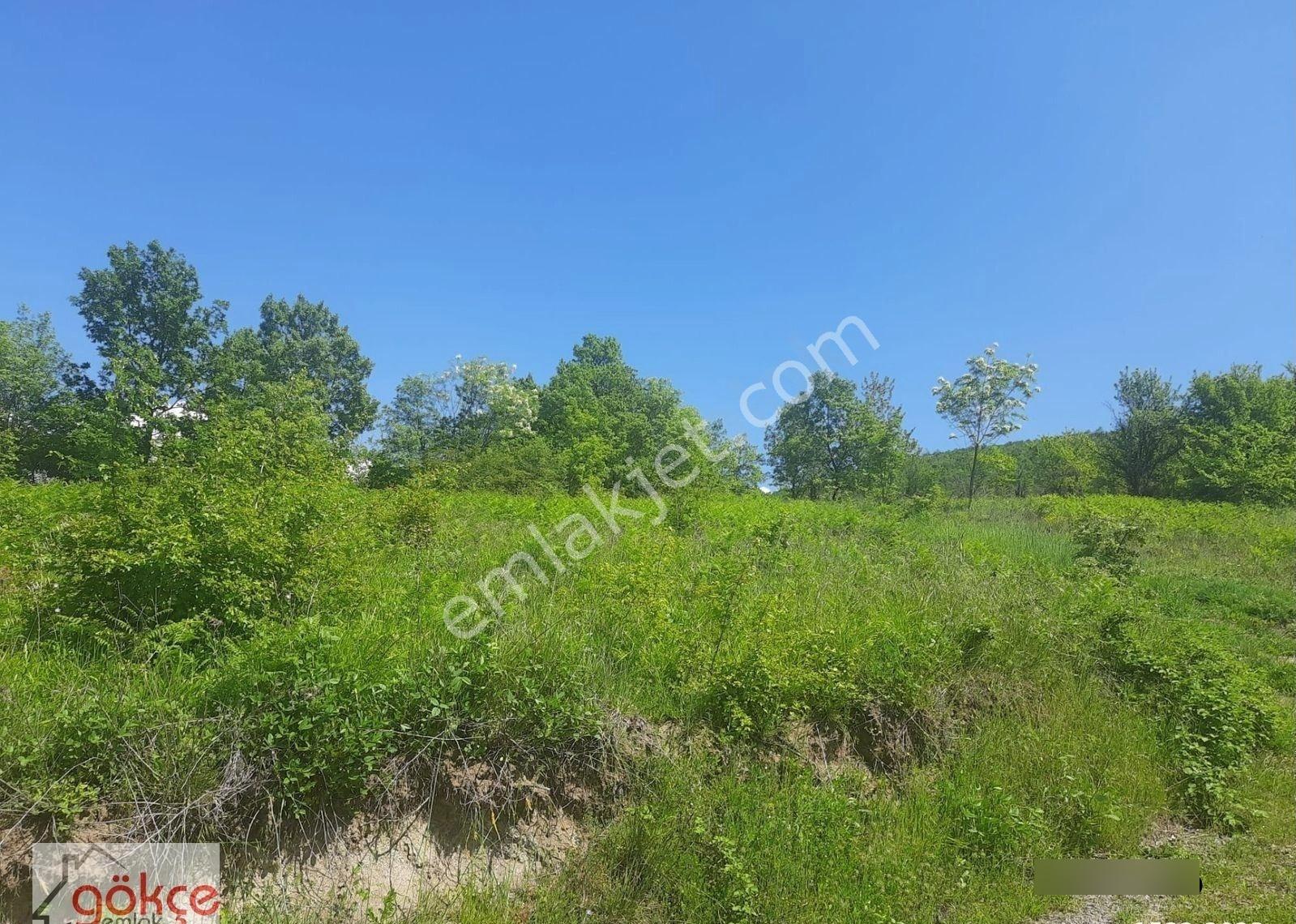 Akçat Ta Satılık 1410 M2 Tarla - Görsel 10