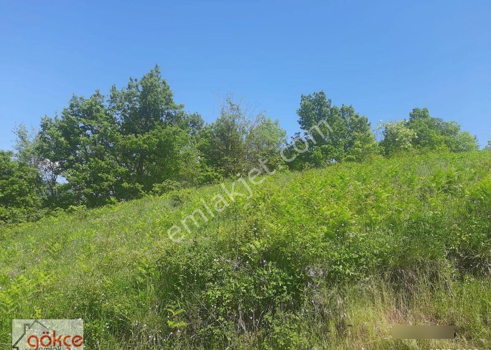 Akçat Ta Satılık 1410 M2 Tarla - Görsel 7