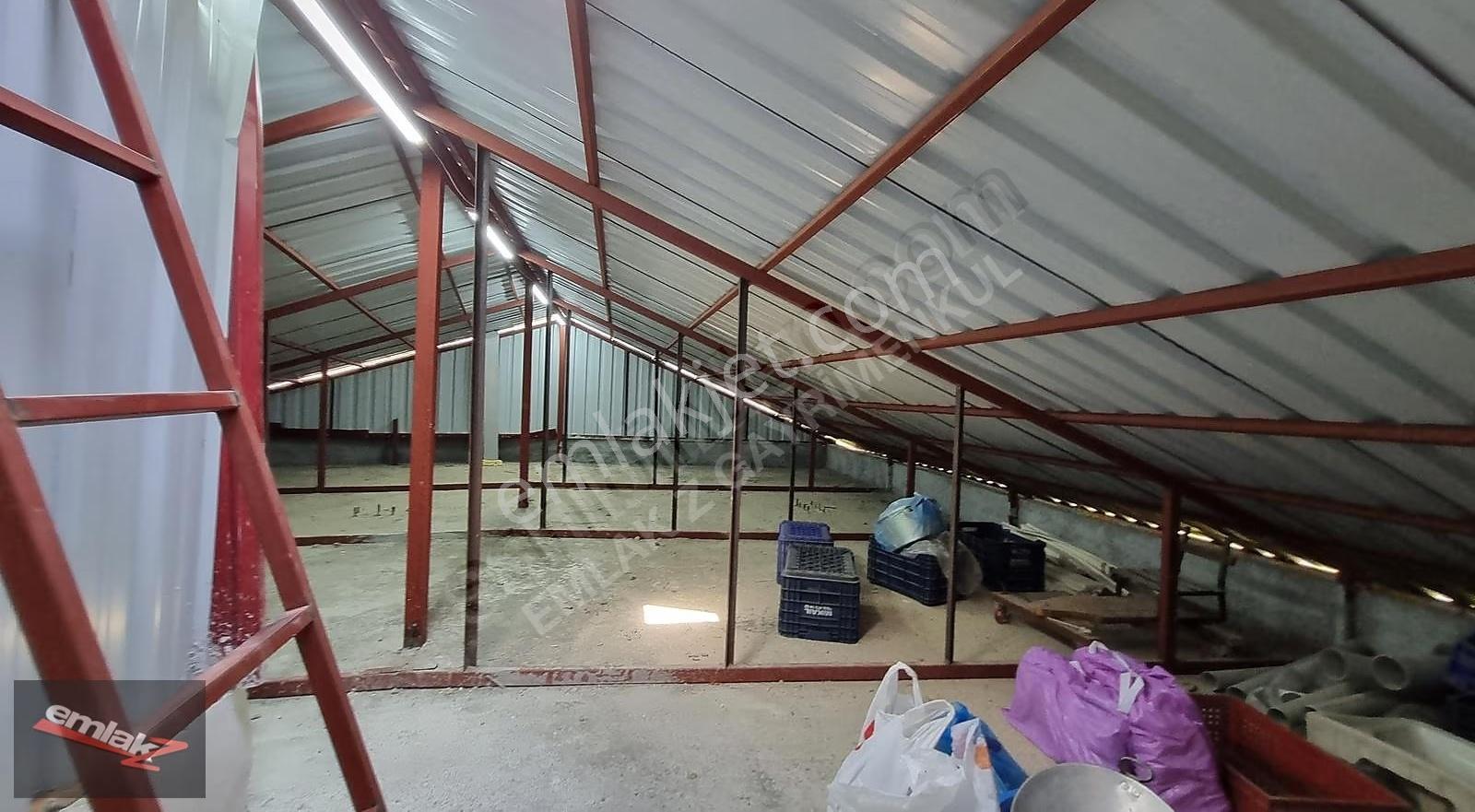 Ayvagediği'nde Merkezi Konumda, Manzaralı Tripleks Satılık Villa - Görsel 12