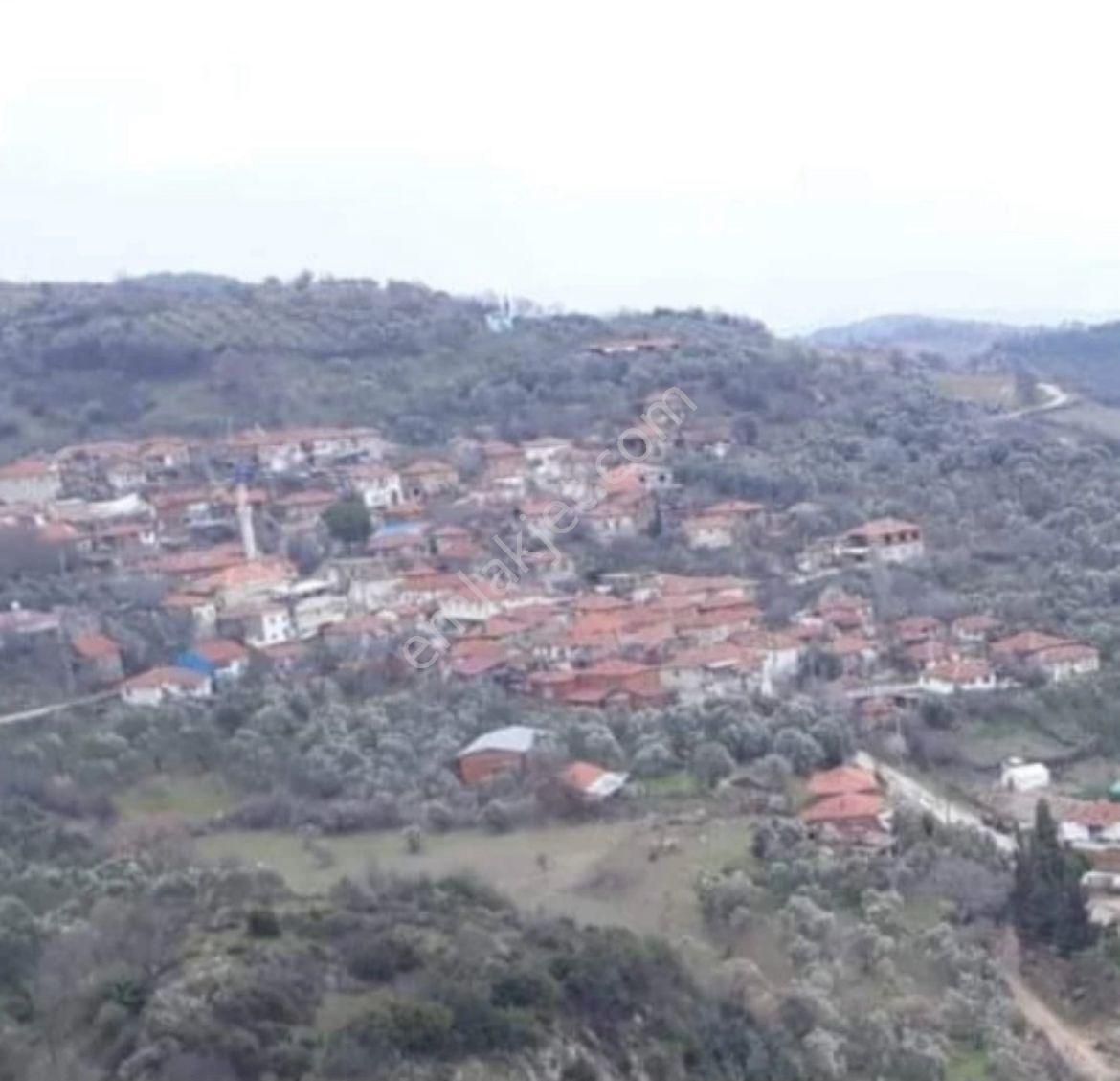 Soma Karacahisar 6572 M2 Ana Yola Ve Köye Yakın Satılık Tarla - Görsel 10