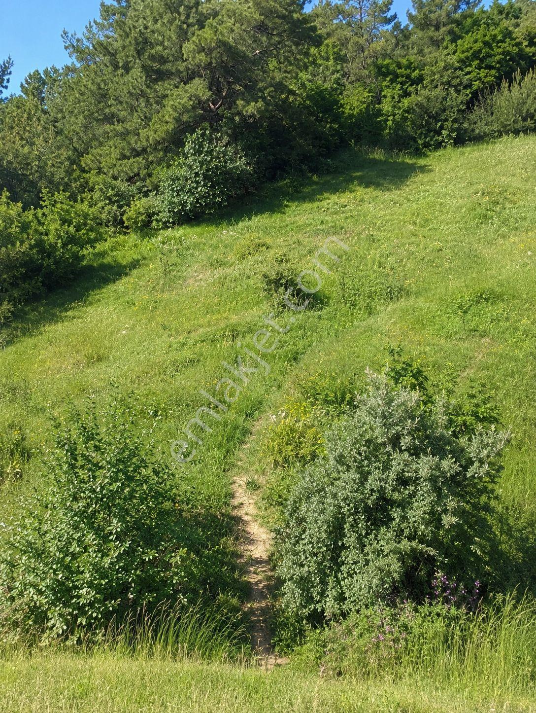 Soma Karacahisar 6572 M2 Ana Yola Ve Köye Yakın Satılık Tarla - Görsel 4