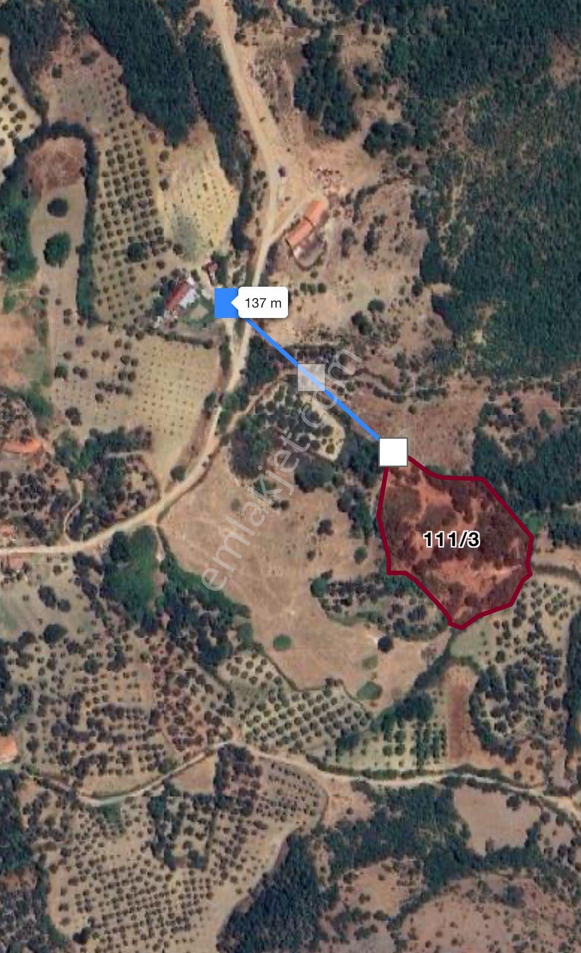 Soma Karacahisar 6572 M2 Ana Yola Ve Köye Yakın Satılık Tarla - Görsel 12
