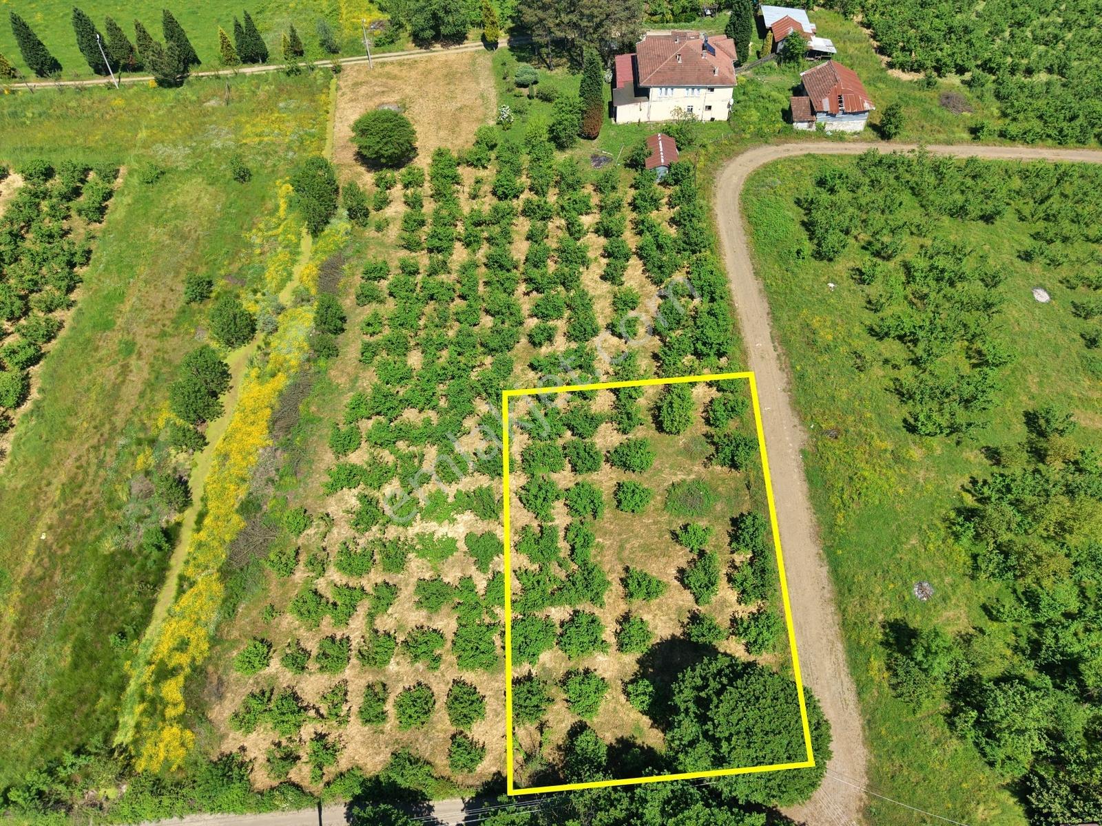 Emlakevim - Yeşilvadi Mahallesinde Satılık 1000 M2 İmarlı Arsa ! - Görsel 4
