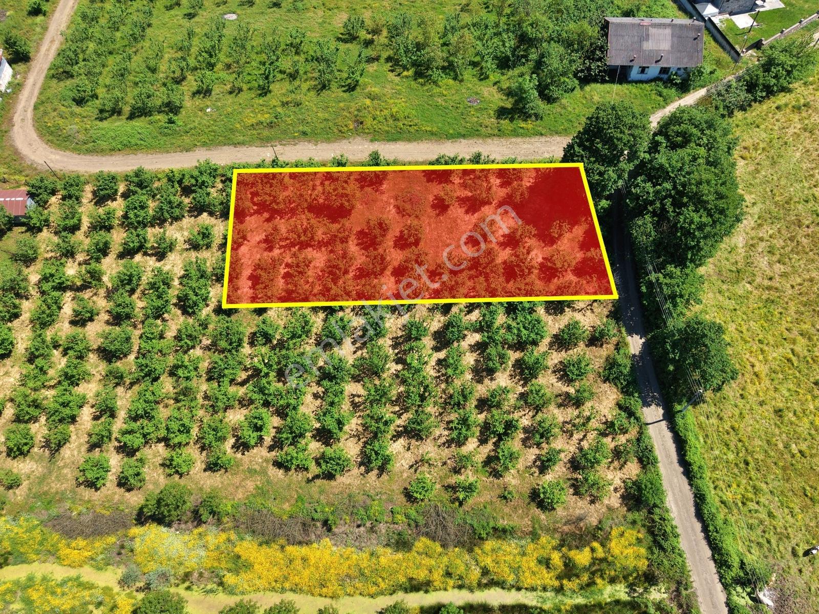 Emlakevim - Yeşilvadi Mahallesinde Satılık 1000 M2 İmarlı Arsa ! - Görsel 11