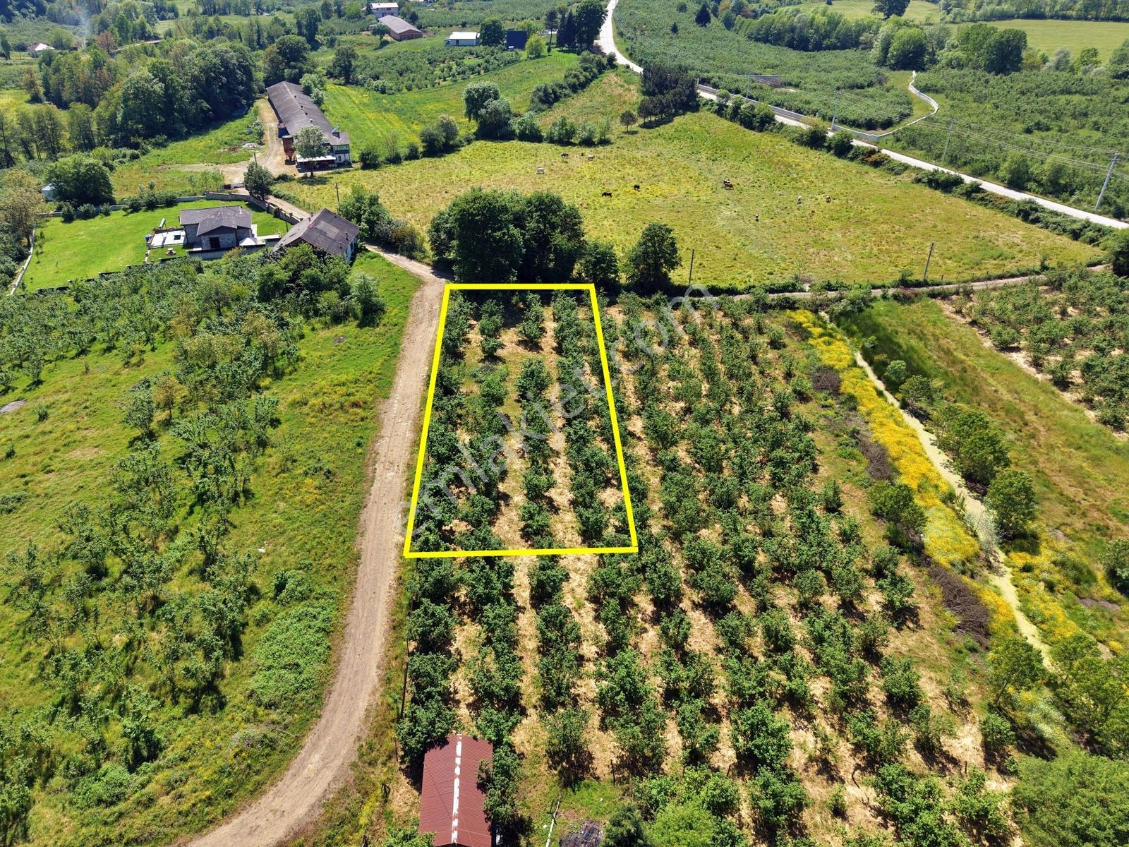 Emlakevim - Yeşilvadi Mahallesinde Satılık 1000 M2 İmarlı Arsa ! - Görsel 10