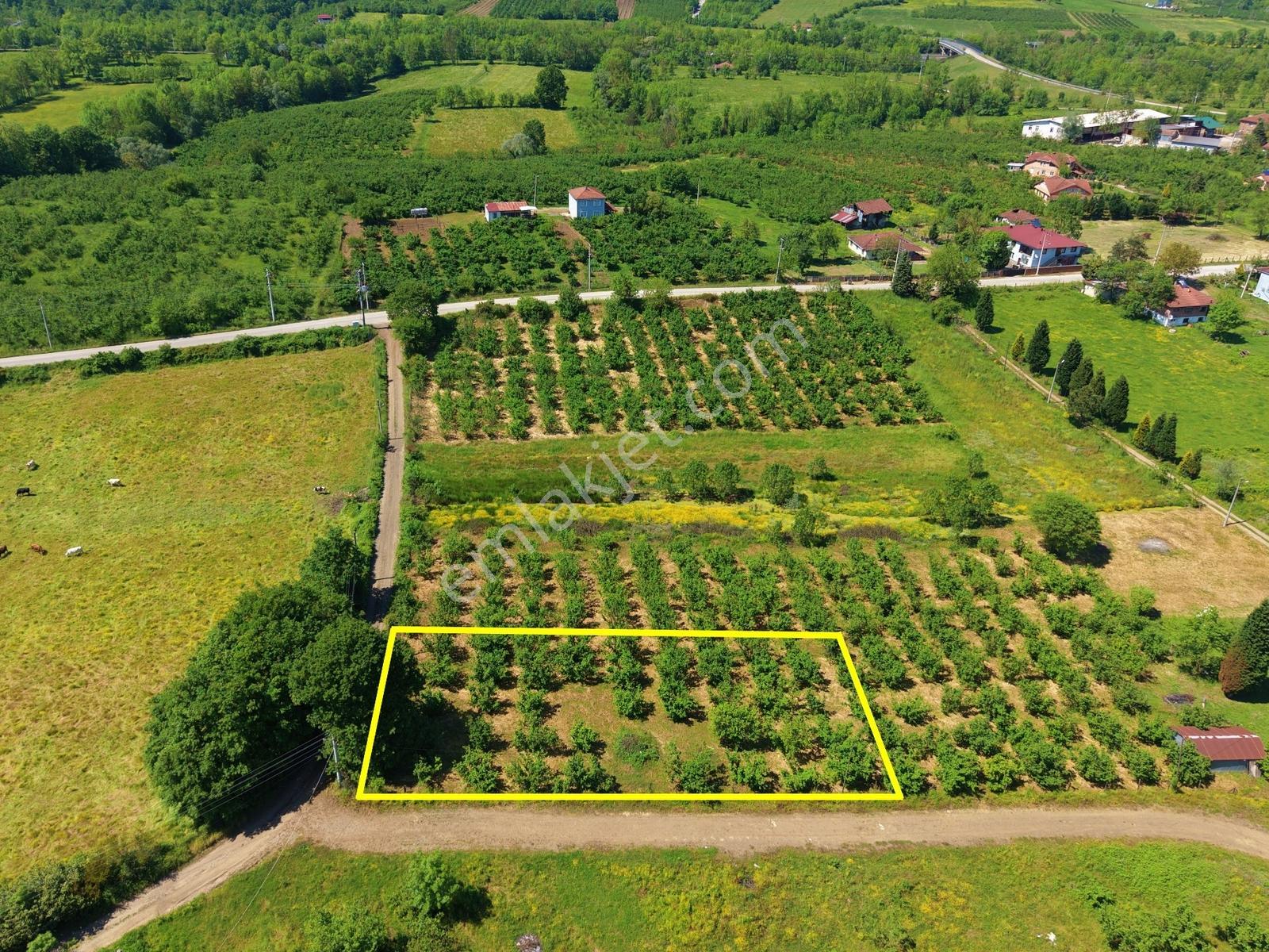 Emlakevim - Yeşilvadi Mahallesinde Satılık 1000 M2 İmarlı Arsa ! - Görsel 7