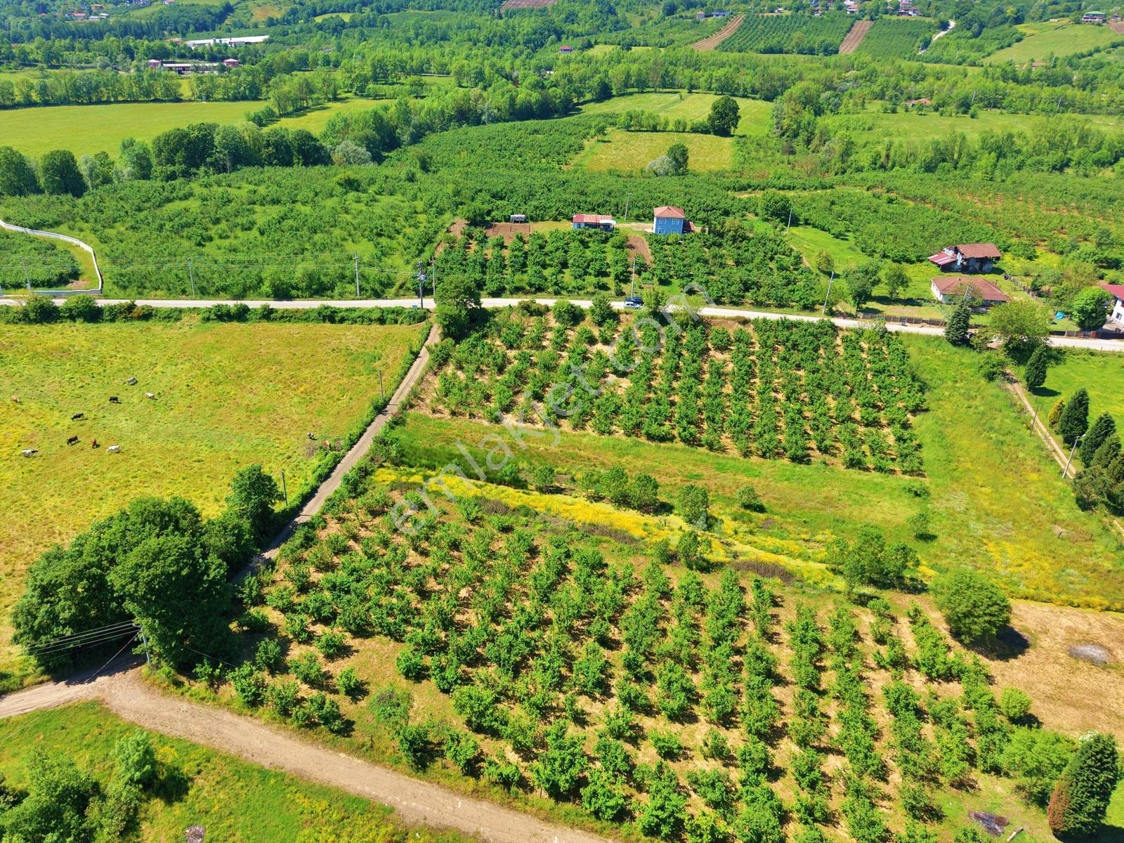 Emlakevim - Yeşilvadi Mahallesinde Satılık 1000 M2 İmarlı Arsa ! - Görsel 8