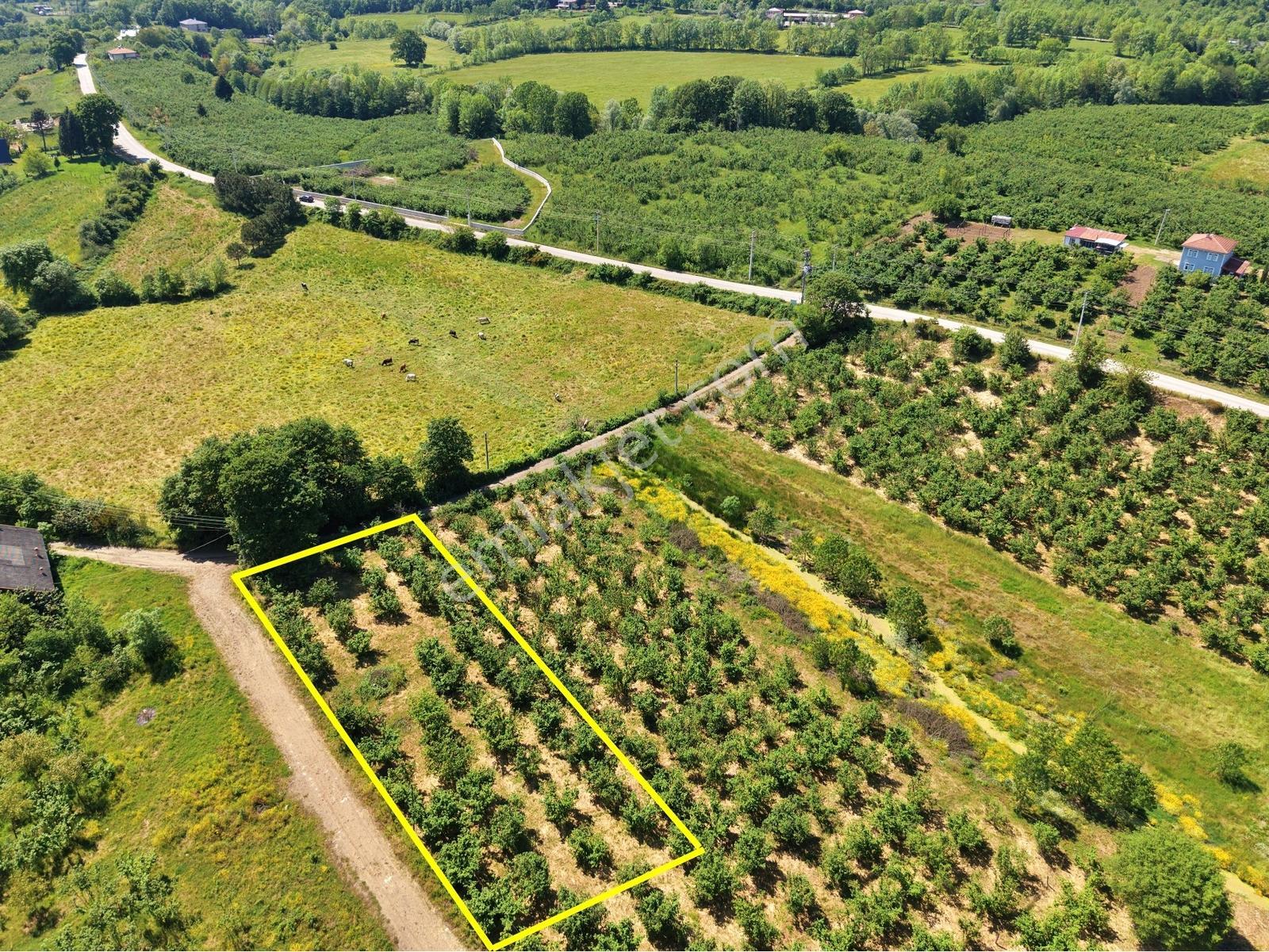 Emlakevim - Yeşilvadi Mahallesinde Satılık 1000 M2 İmarlı Arsa ! - Görsel 12