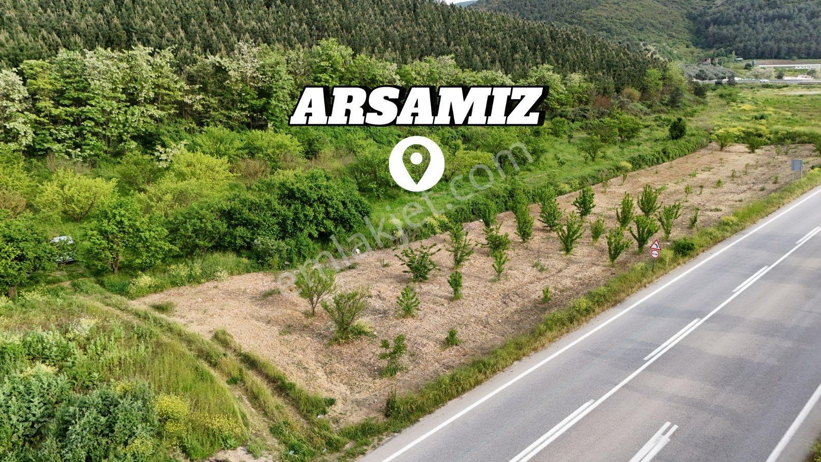 Sakarya Geyve 5dk Asfalta 15 Metre Bahçe Nitelik Karışık Meyve - Görsel 18