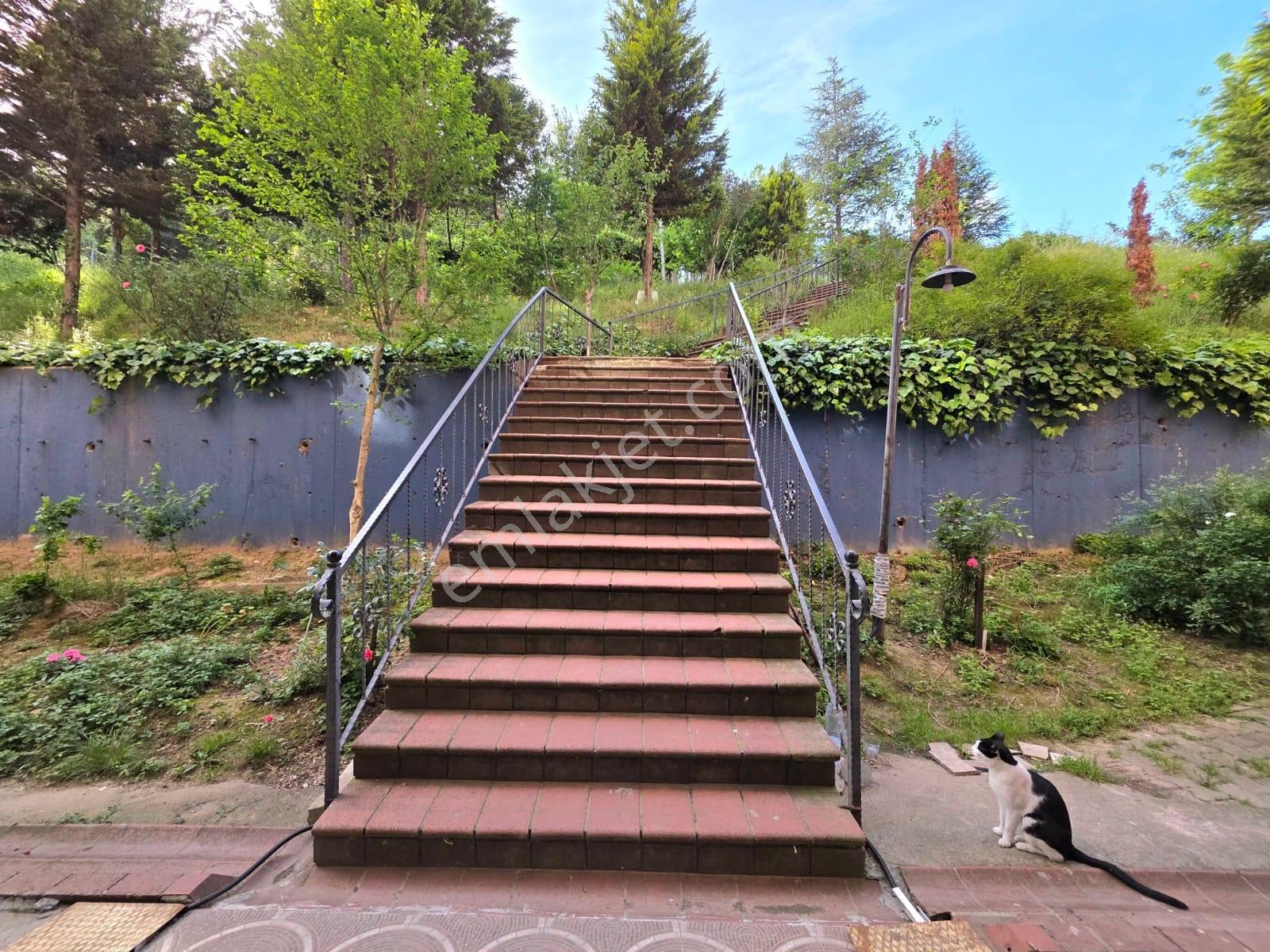 3kent'ten Akçakoca Üniversite Evleri Selvi Apartmanı Kiralık 3+1 - Görsel 7