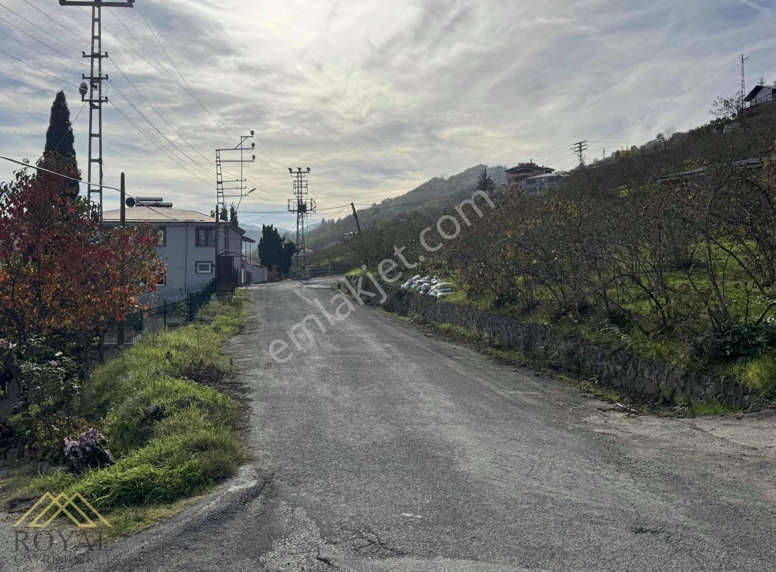 Trabzon Gürbulakta Satılık İmarlı Arsa - Görsel 4