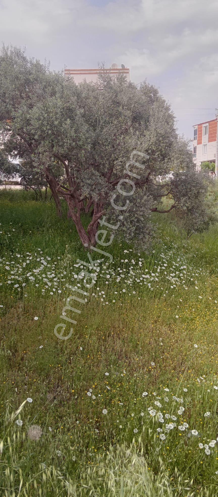 Ayrancılar Fevziçakmak‘ta Merkezi Yerde 367 Metrekare Satılık Kupon Arsa - Görsel 13