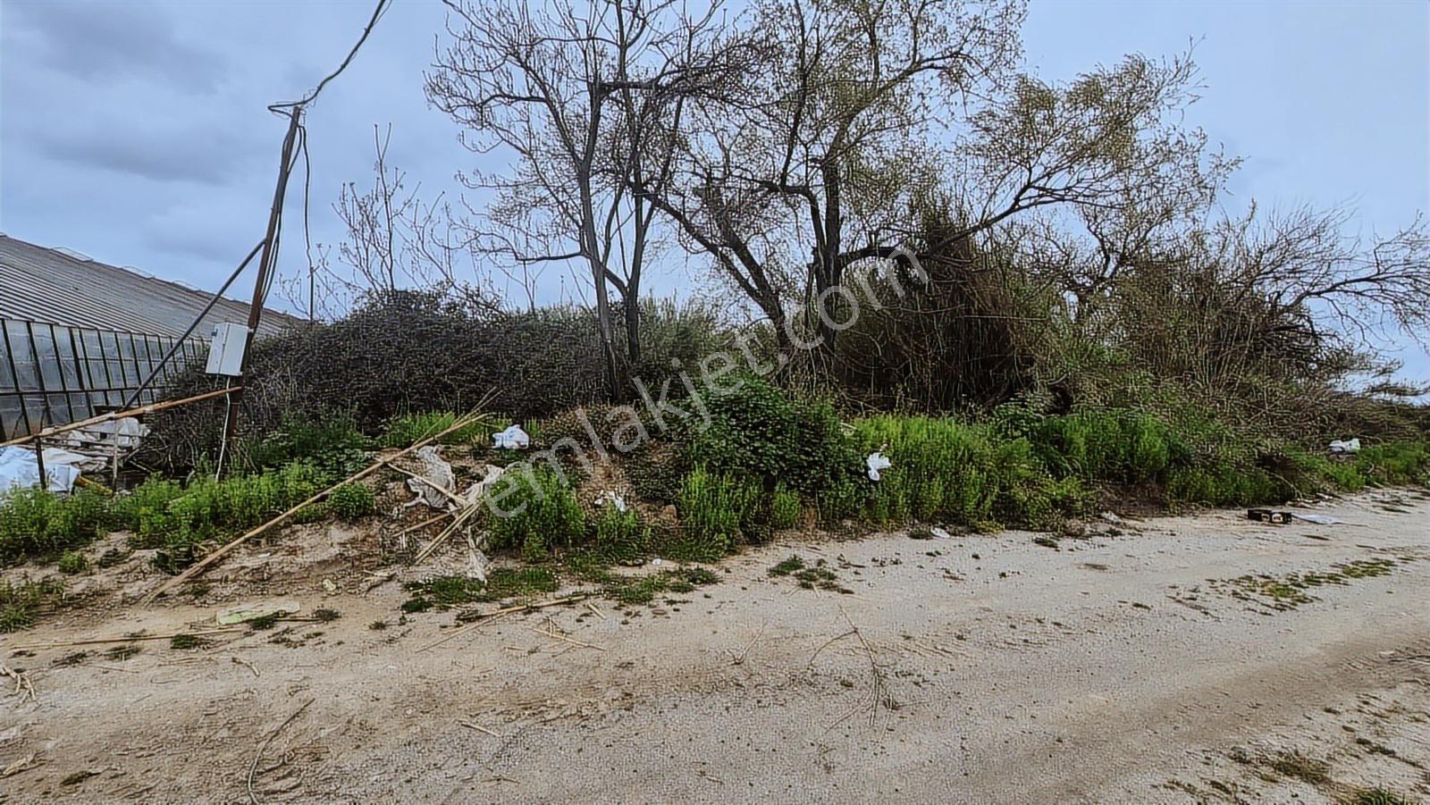Antalya Altınova Sinan'da Stratejik Konumlu 1500 M² Geniş Depo - Görsel 2