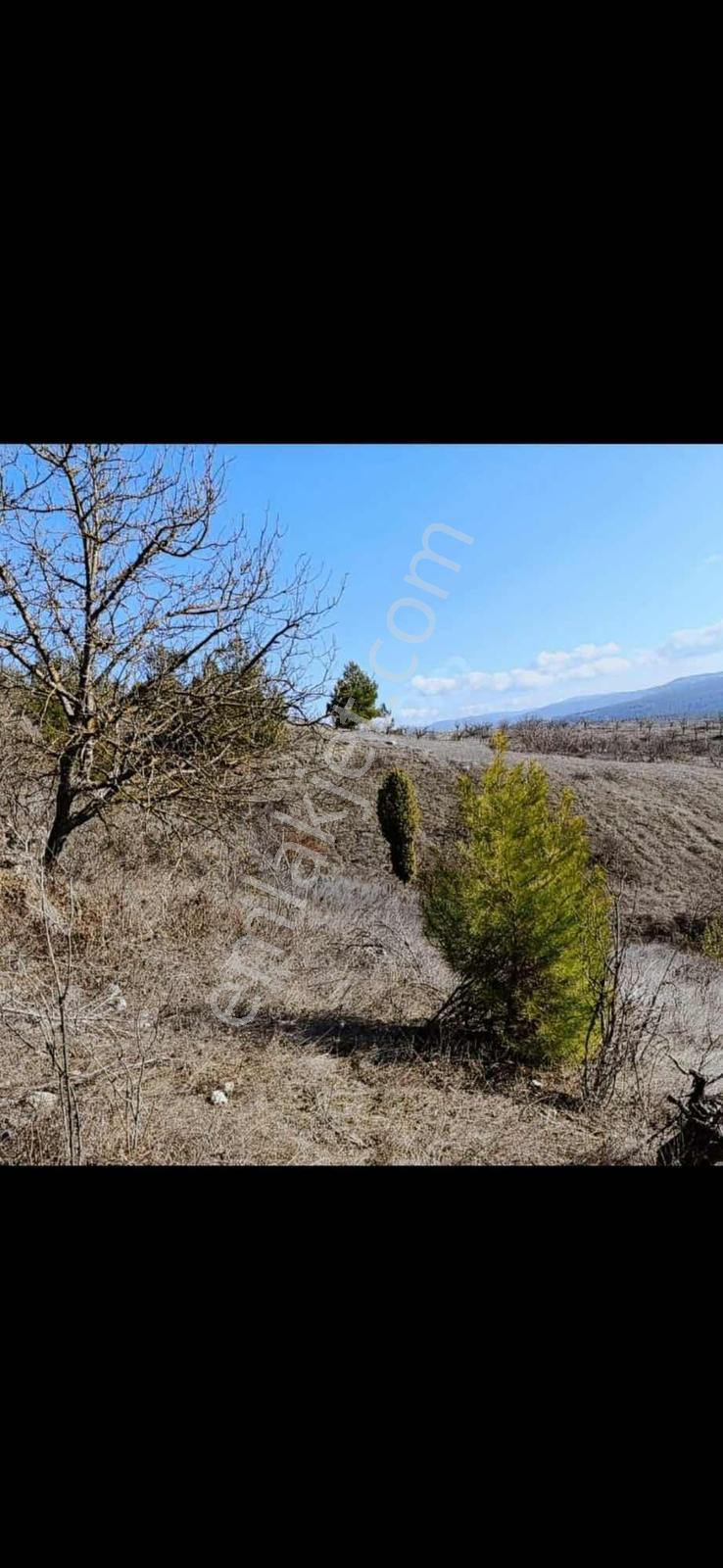 Bursa Orhaneli Fadıl Köy De Yatırımlık Arazi - Görsel 17