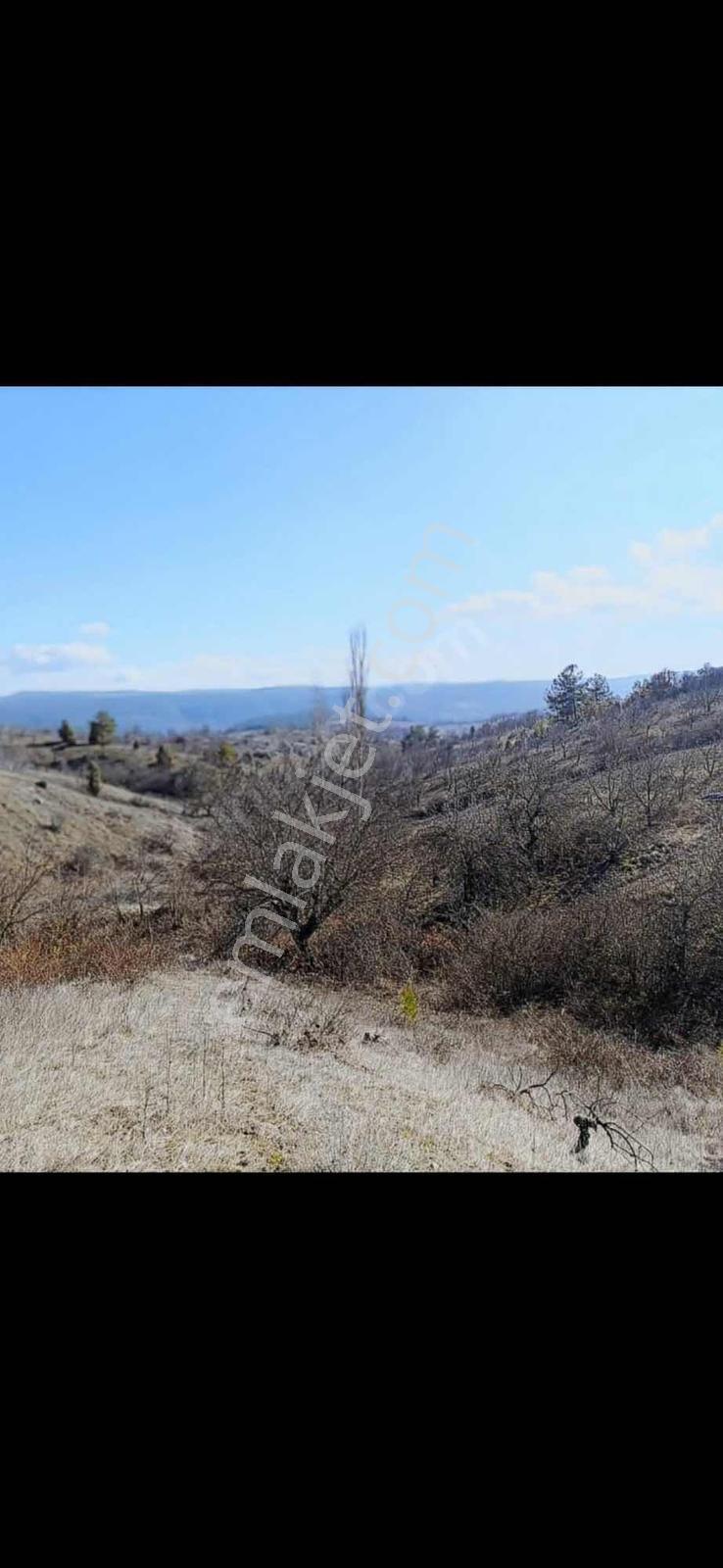 Bursa Orhaneli Fadıl Köy De Yatırımlık Arazi - Görsel 18