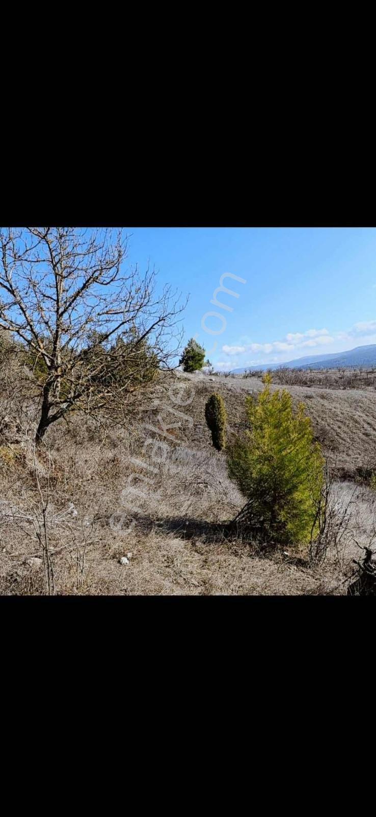 Bursa Orhaneli Fadıl Köy De Yatırımlık Arazi - Görsel 16