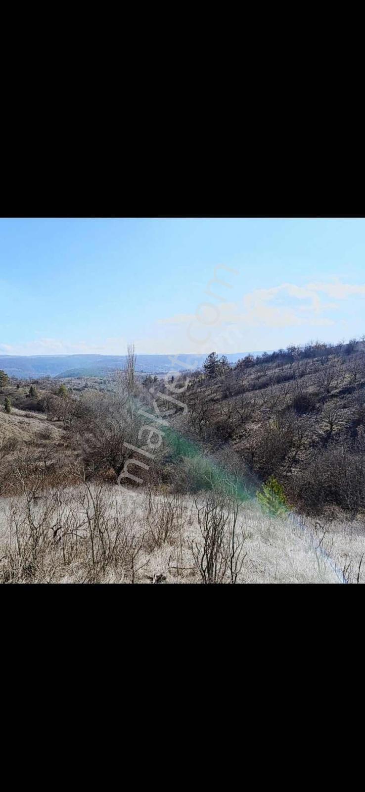 Bursa Orhaneli Fadıl Köy De Yatırımlık Arazi - Görsel 33