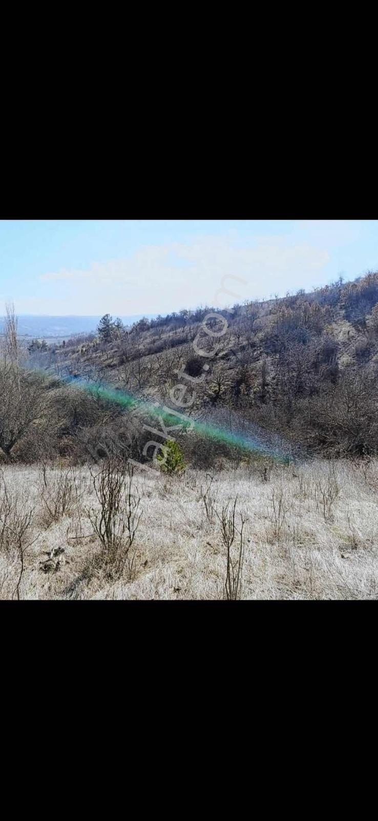 Bursa Orhaneli Fadıl Köy De Yatırımlık Arazi - Görsel 3