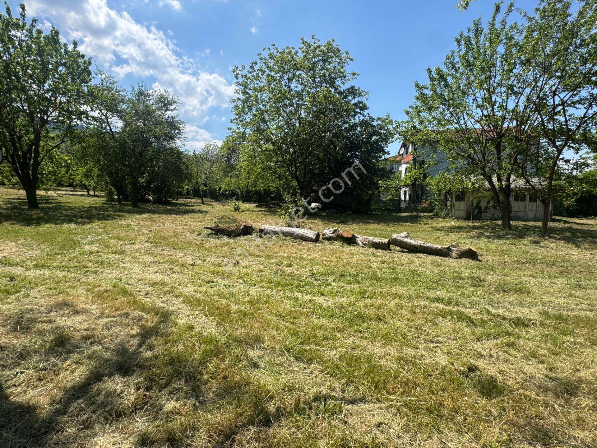 Sapanca’da Satılık 2620 M2 Konut Ve Ticari İmarlı Arsa - Görsel 17