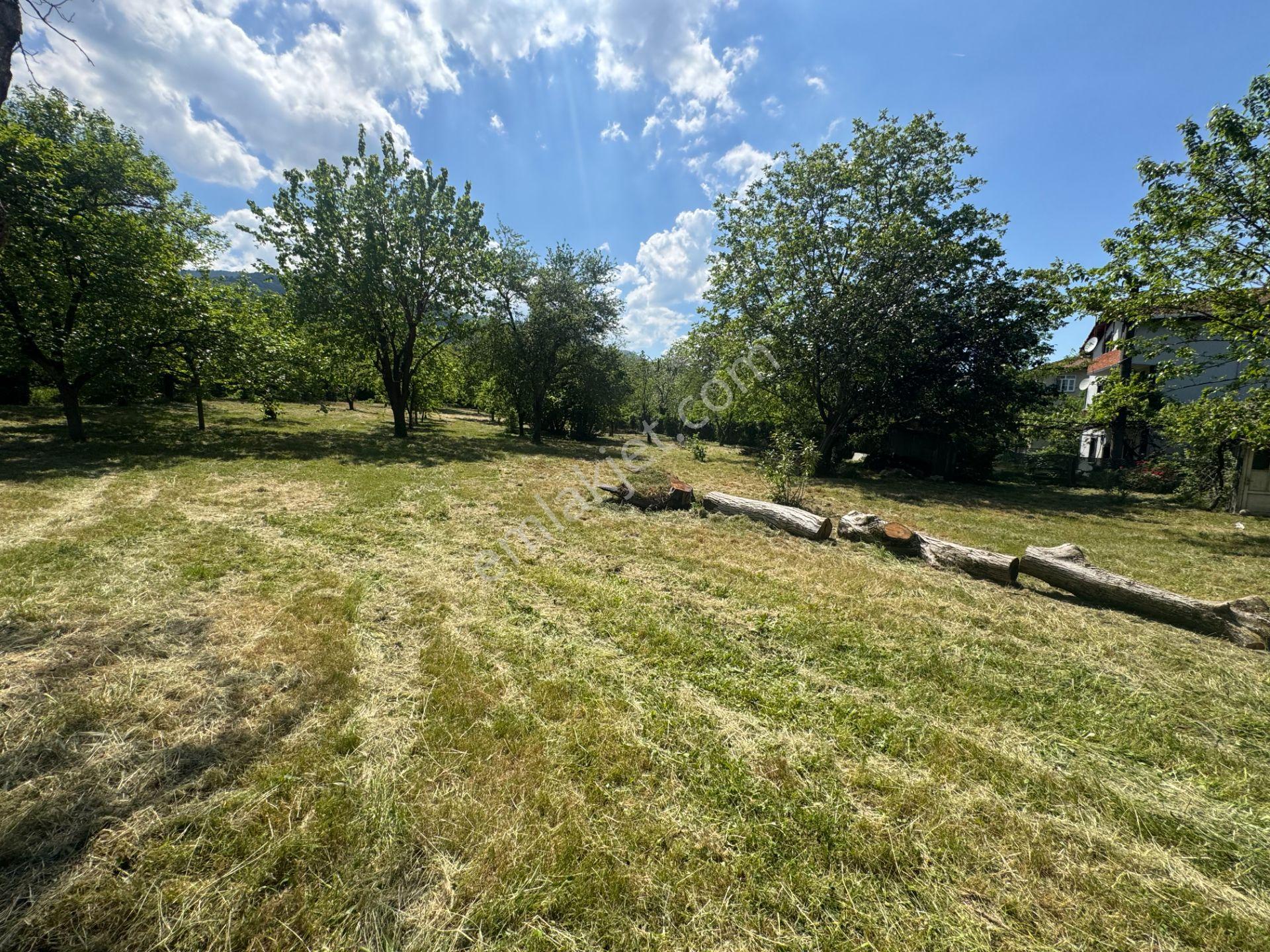 Sapanca’da Satılık 2620 M2 Konut Ve Ticari İmarlı Arsa - Görsel 35