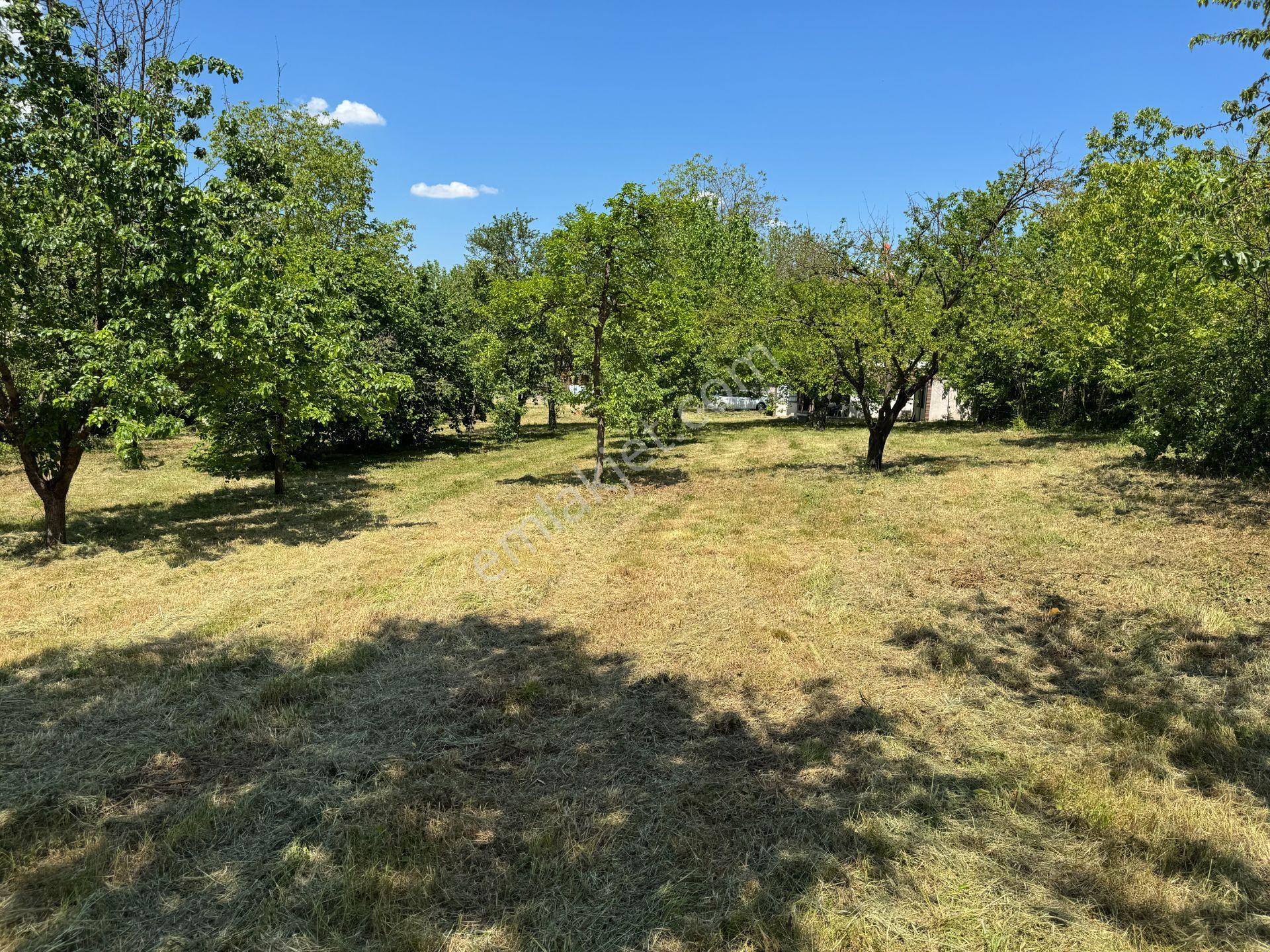 Sapanca’da Satılık 2620 M2 Konut Ve Ticari İmarlı Arsa - Görsel 26