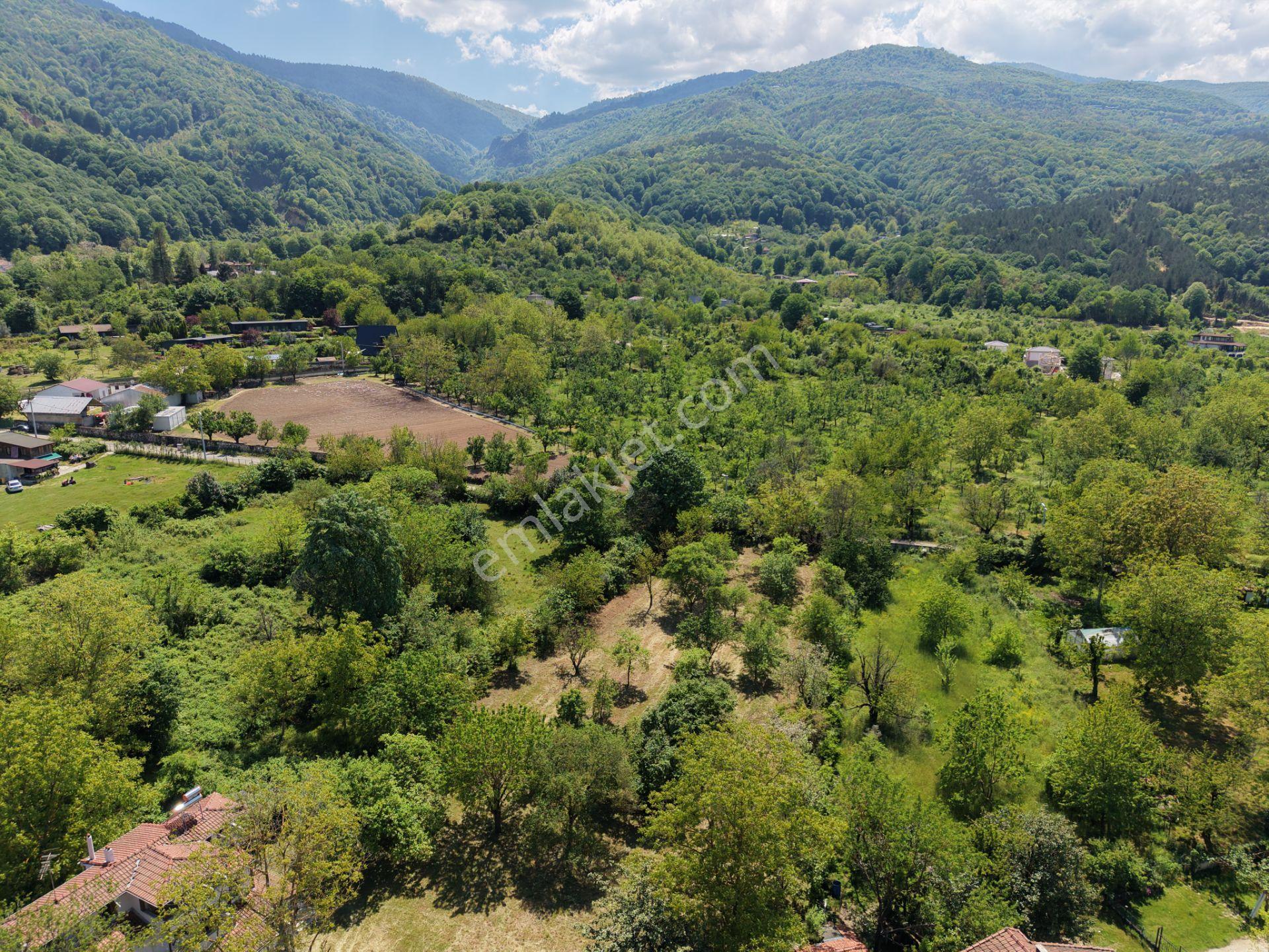 Sapanca’da Satılık 2620 M2 Konut Ve Ticari İmarlı Arsa - Görsel 12