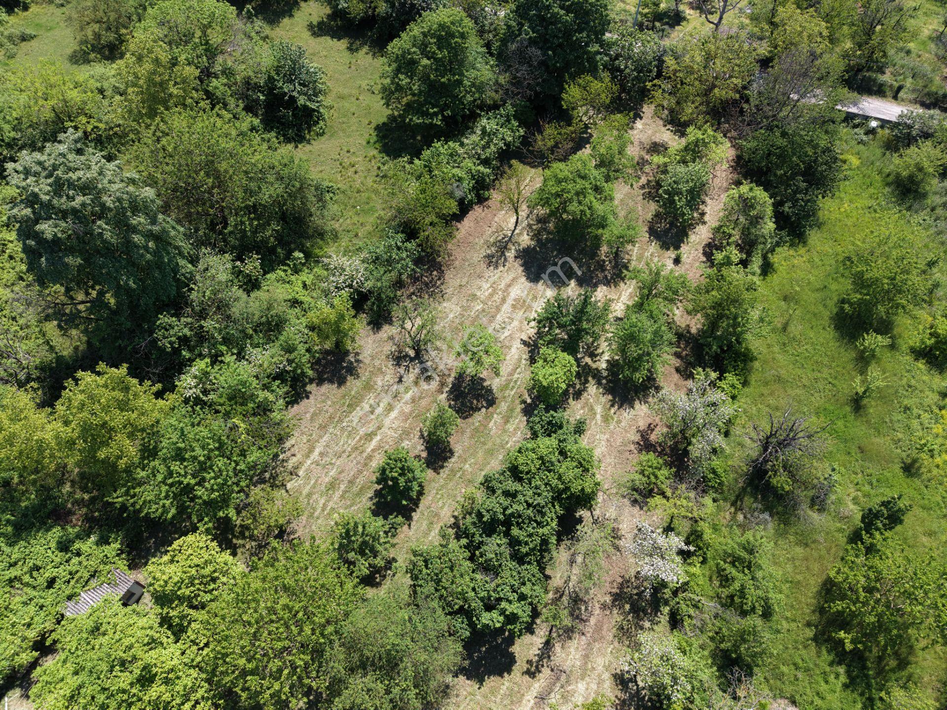 Sapanca’da Satılık 2620 M2 Konut Ve Ticari İmarlı Arsa - Görsel 3