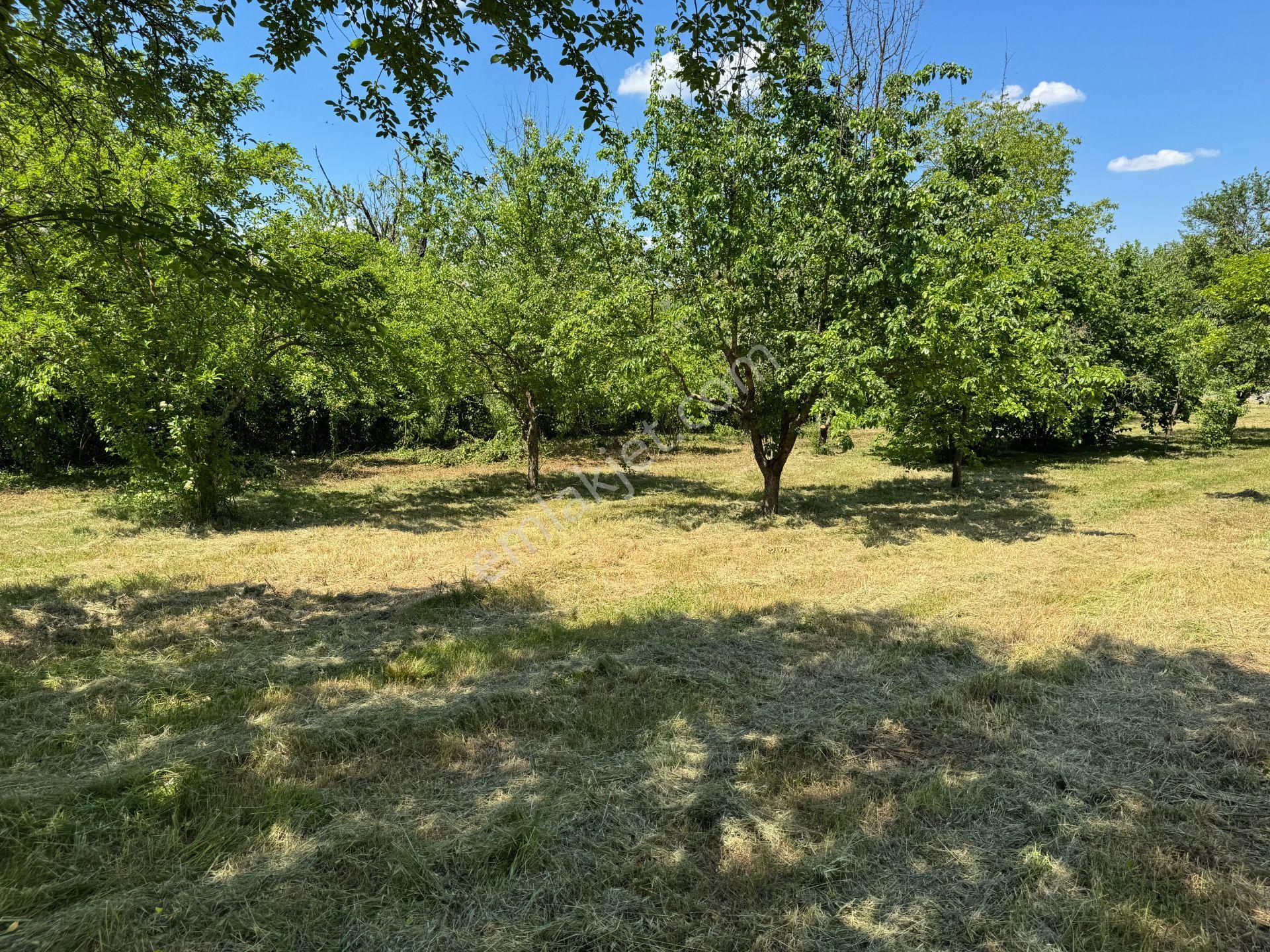 Sapanca’da Satılık 2620 M2 Konut Ve Ticari İmarlı Arsa - Görsel 27