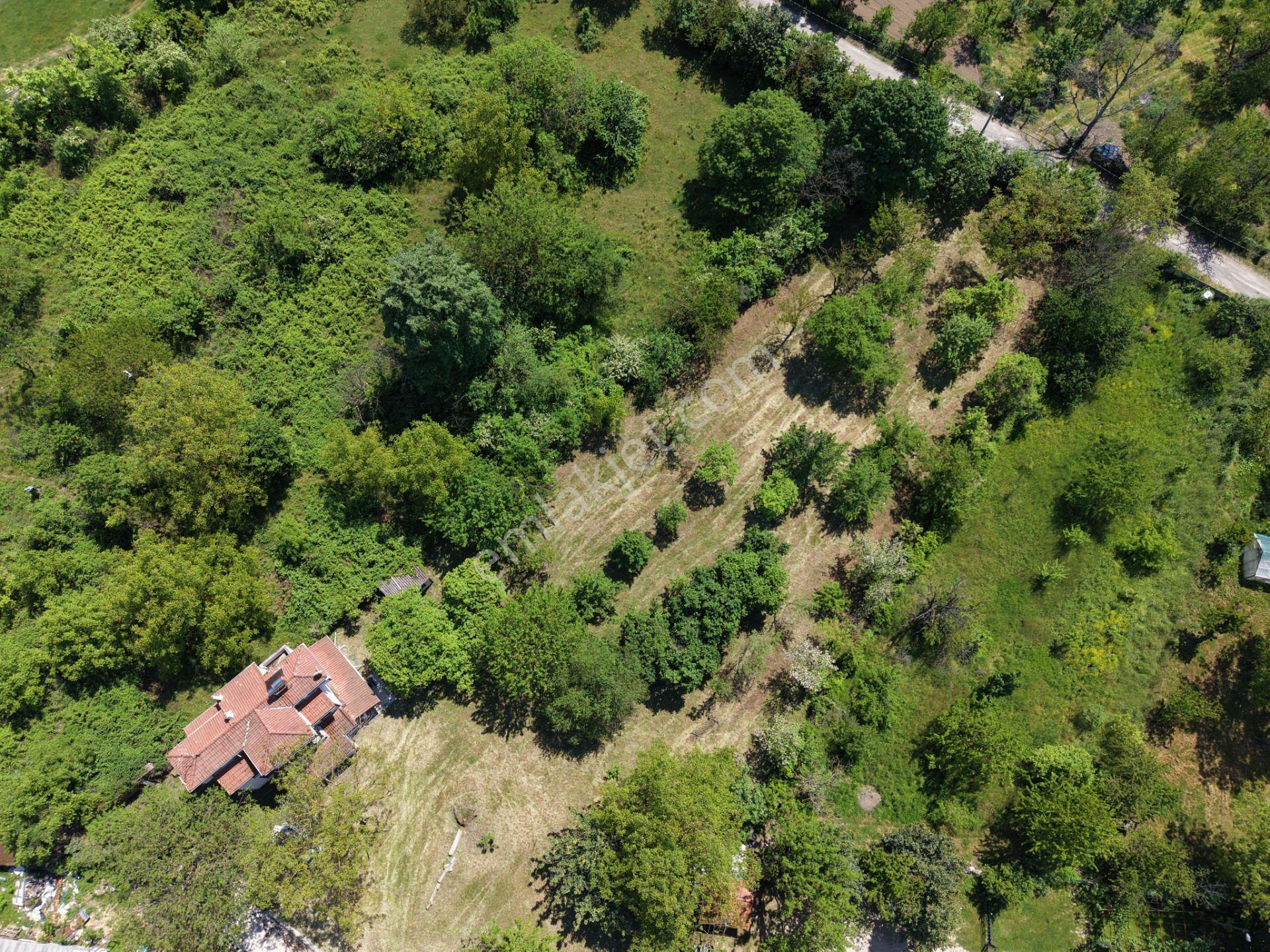 Sapanca’da Satılık 2620 M2 Konut Ve Ticari İmarlı Arsa - Görsel 4