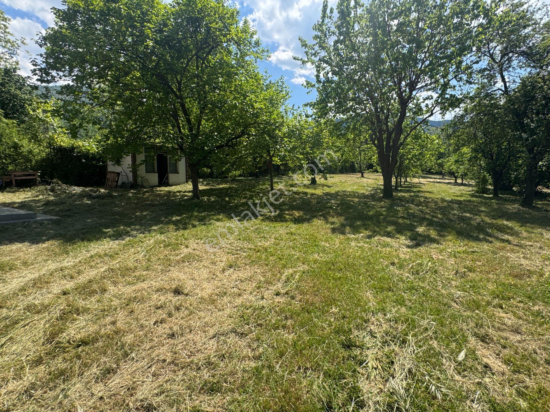 Sapanca’da Satılık 2620 M2 Konut Ve Ticari İmarlı Arsa - Görsel 21
