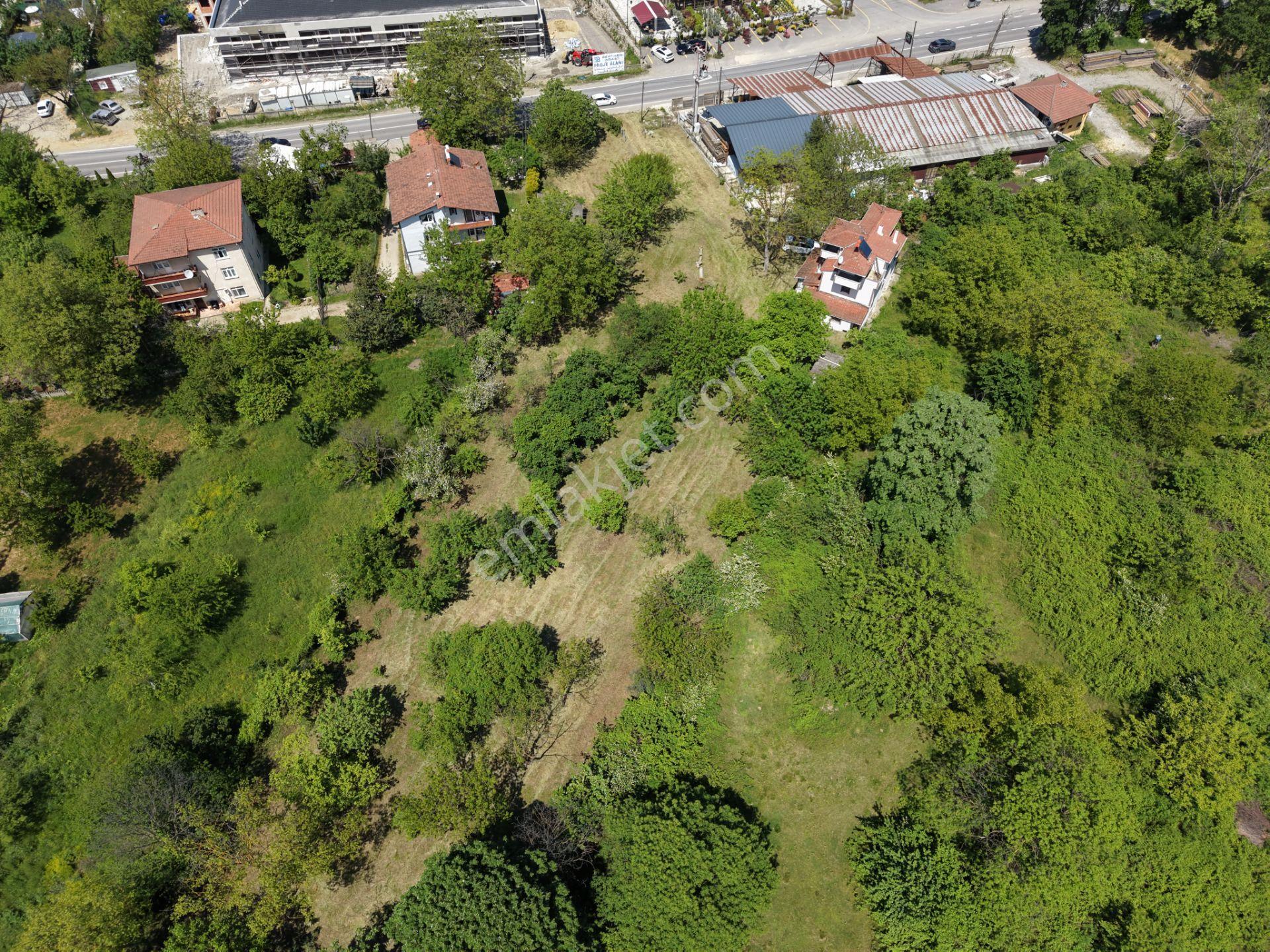 Sapanca’da Satılık 2620 M2 Konut Ve Ticari İmarlı Arsa - Görsel 2